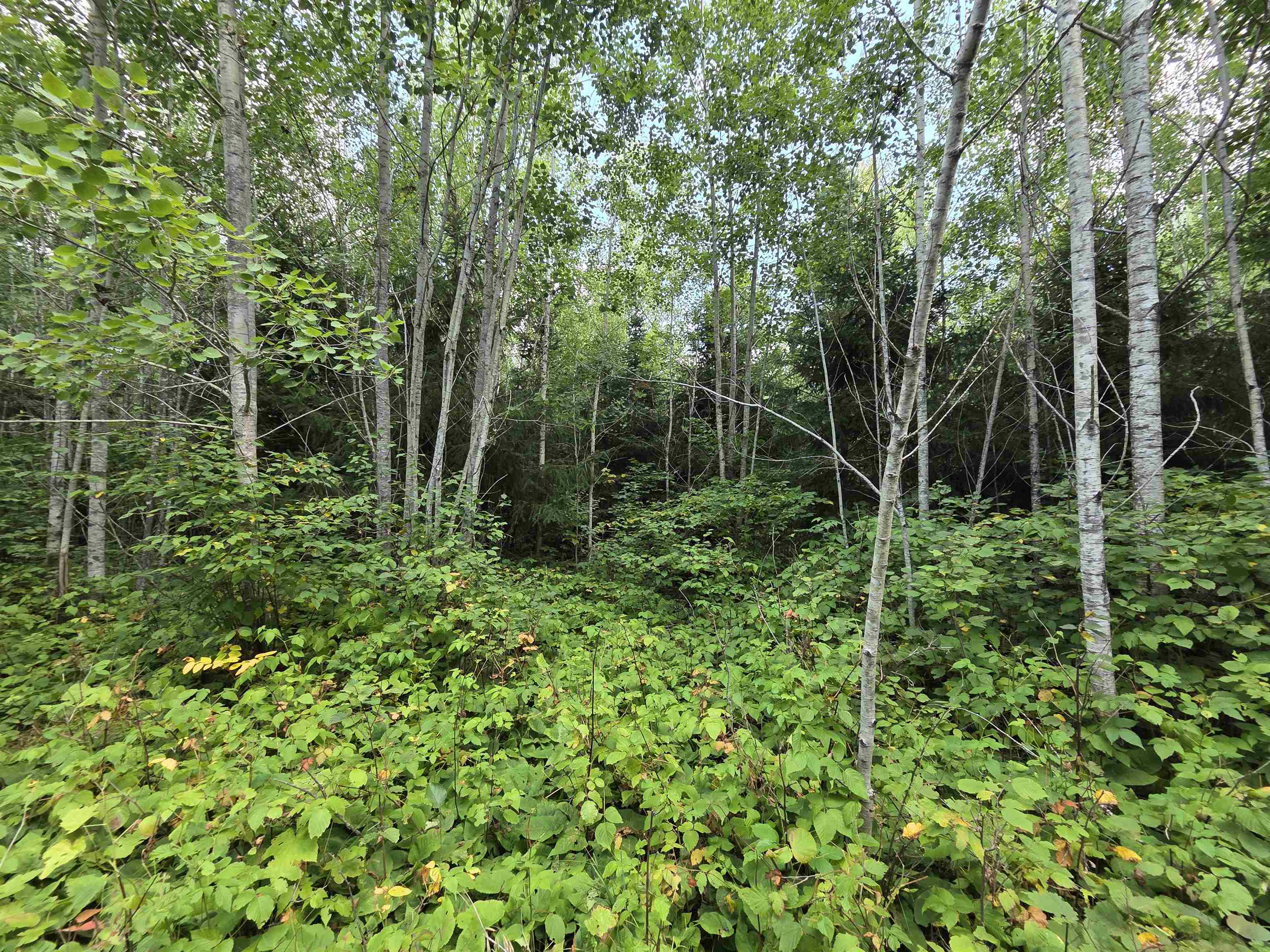 On Figi Road Property Photo 19