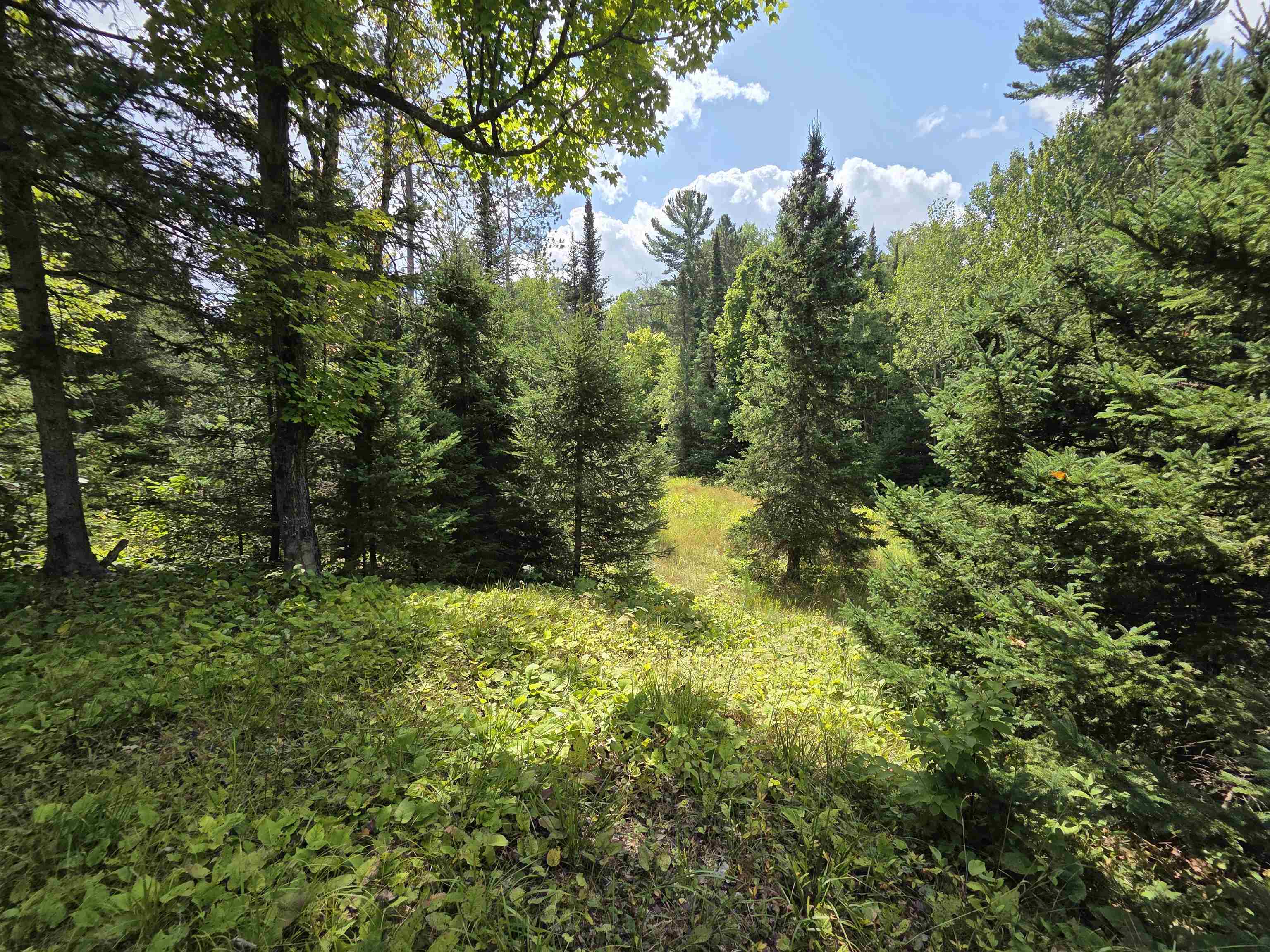 On Figi Road Property Photo 24