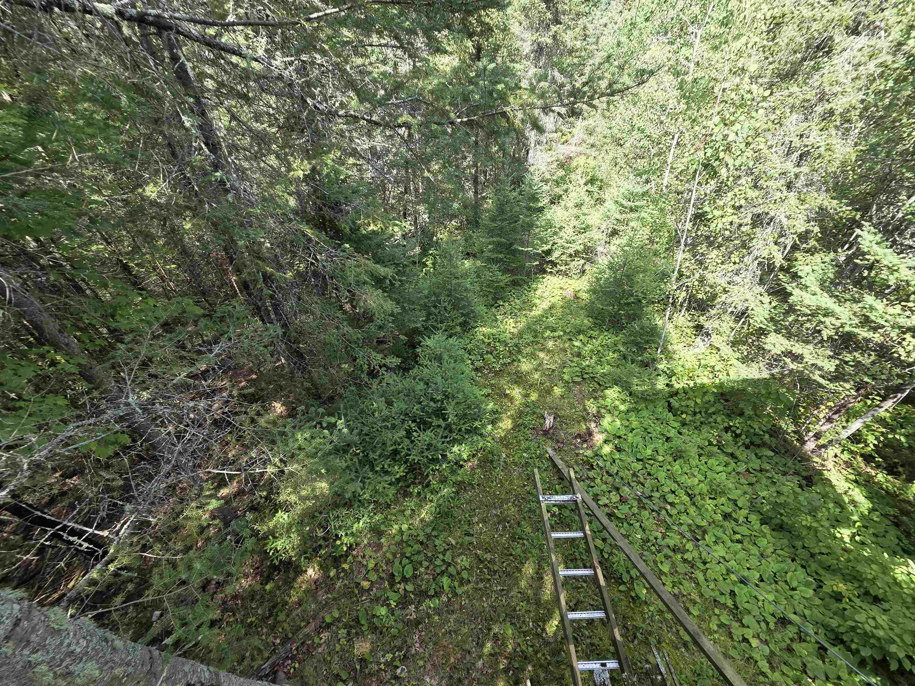 On Figi Road Property Photo 27