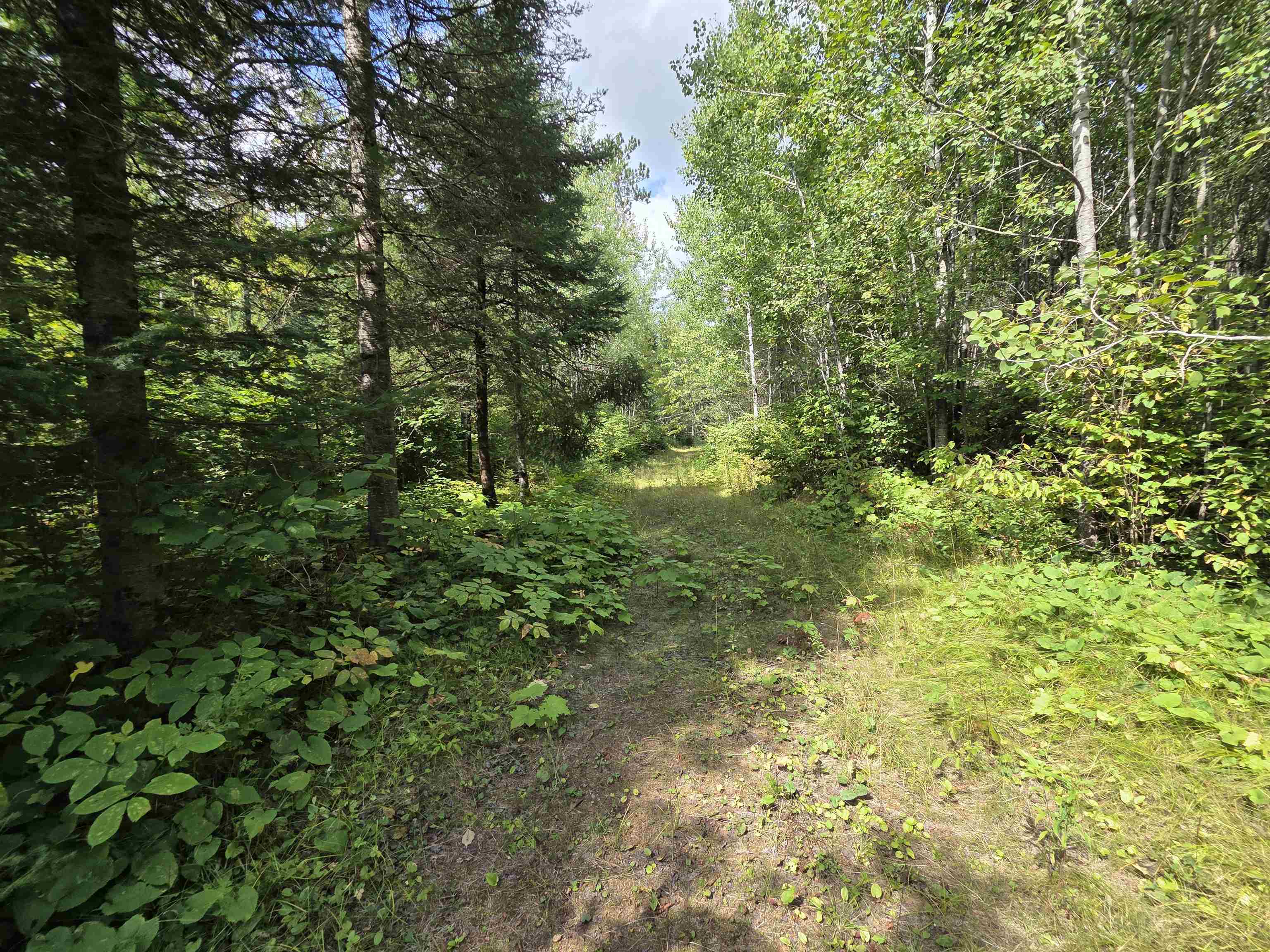 On Figi Road Property Photo 28