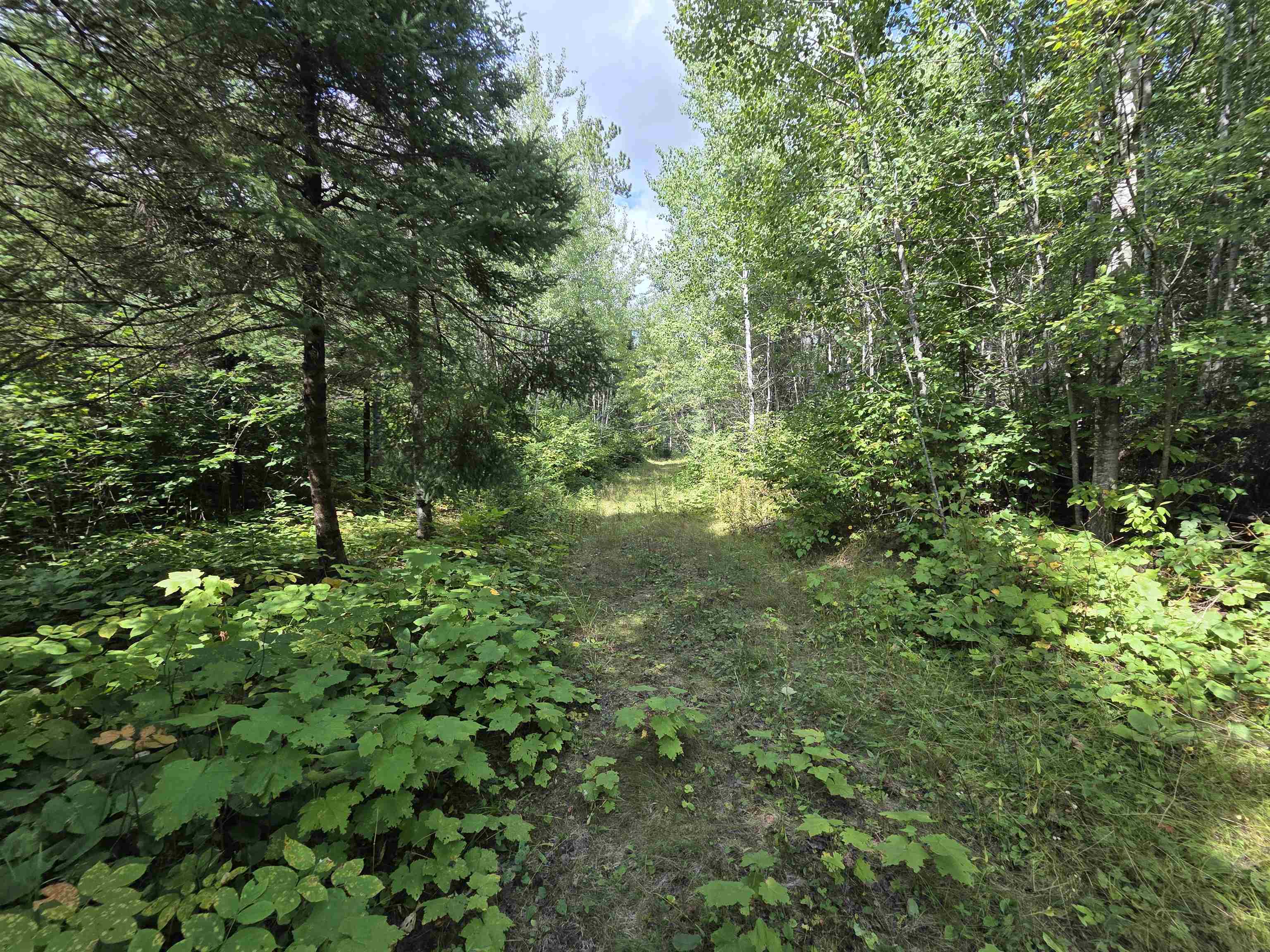 On Figi Road Property Photo 29