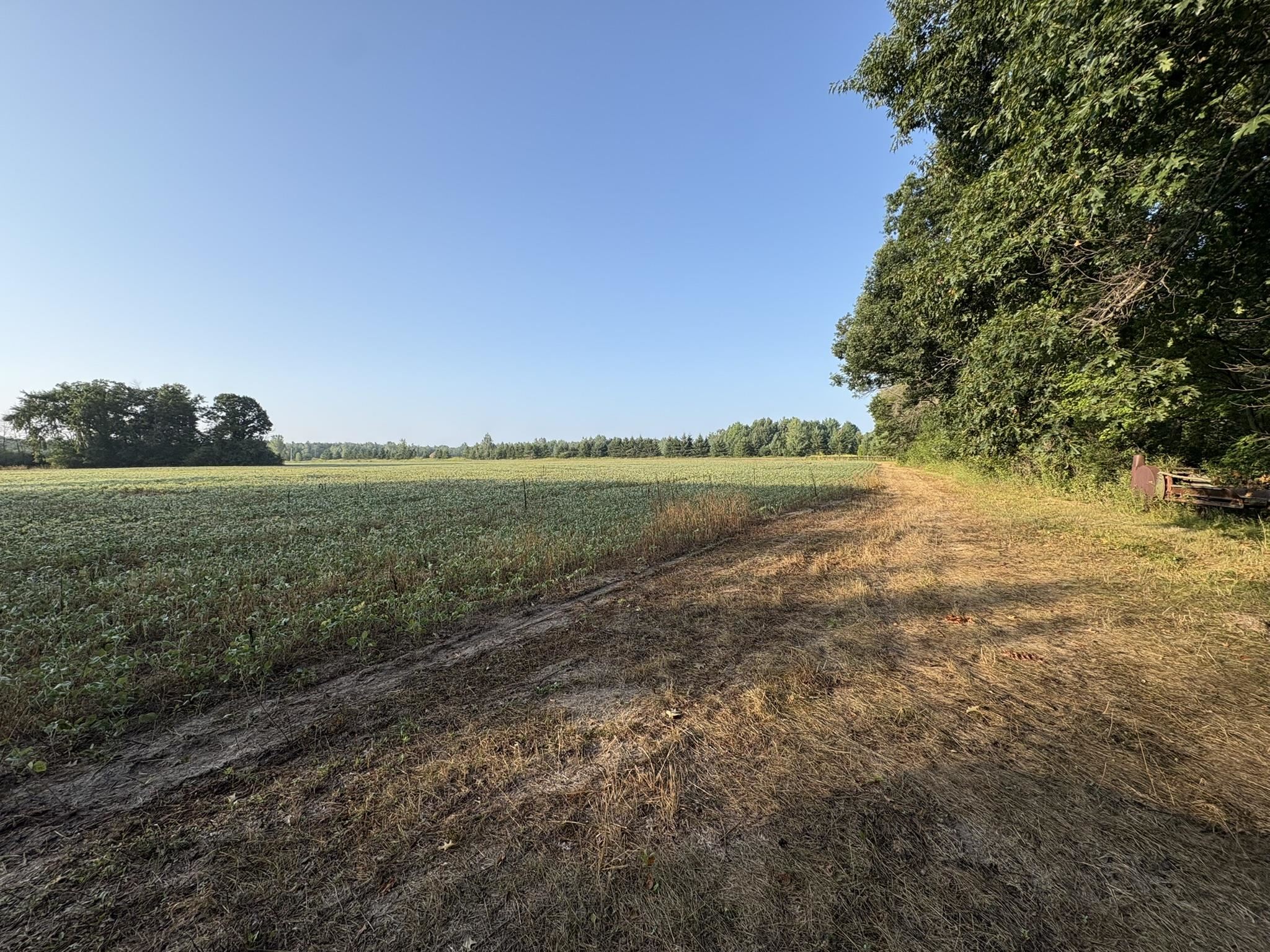 5457 State Highway 34 Property Photo 6