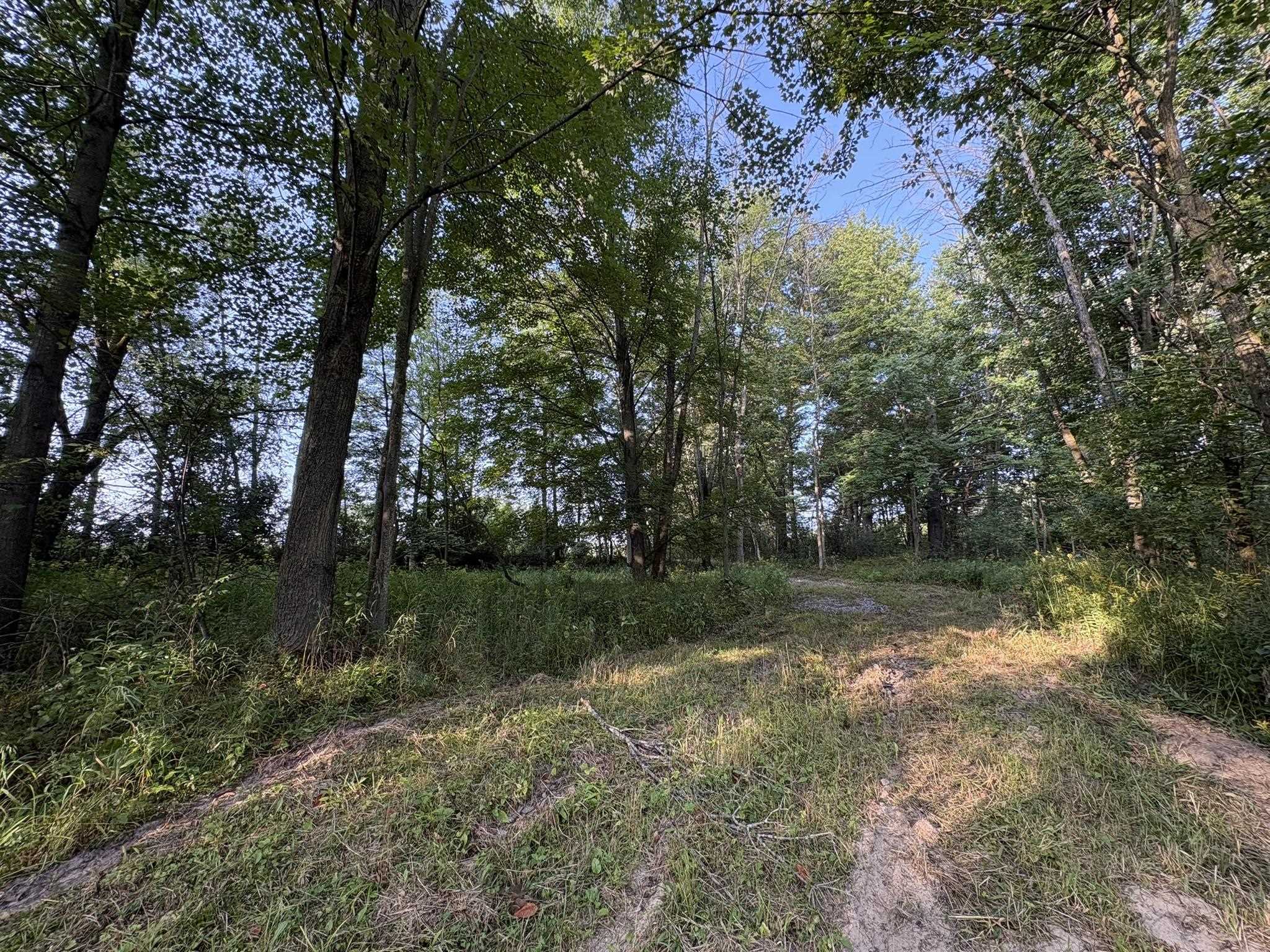 5457 State Highway 34 Property Photo 14