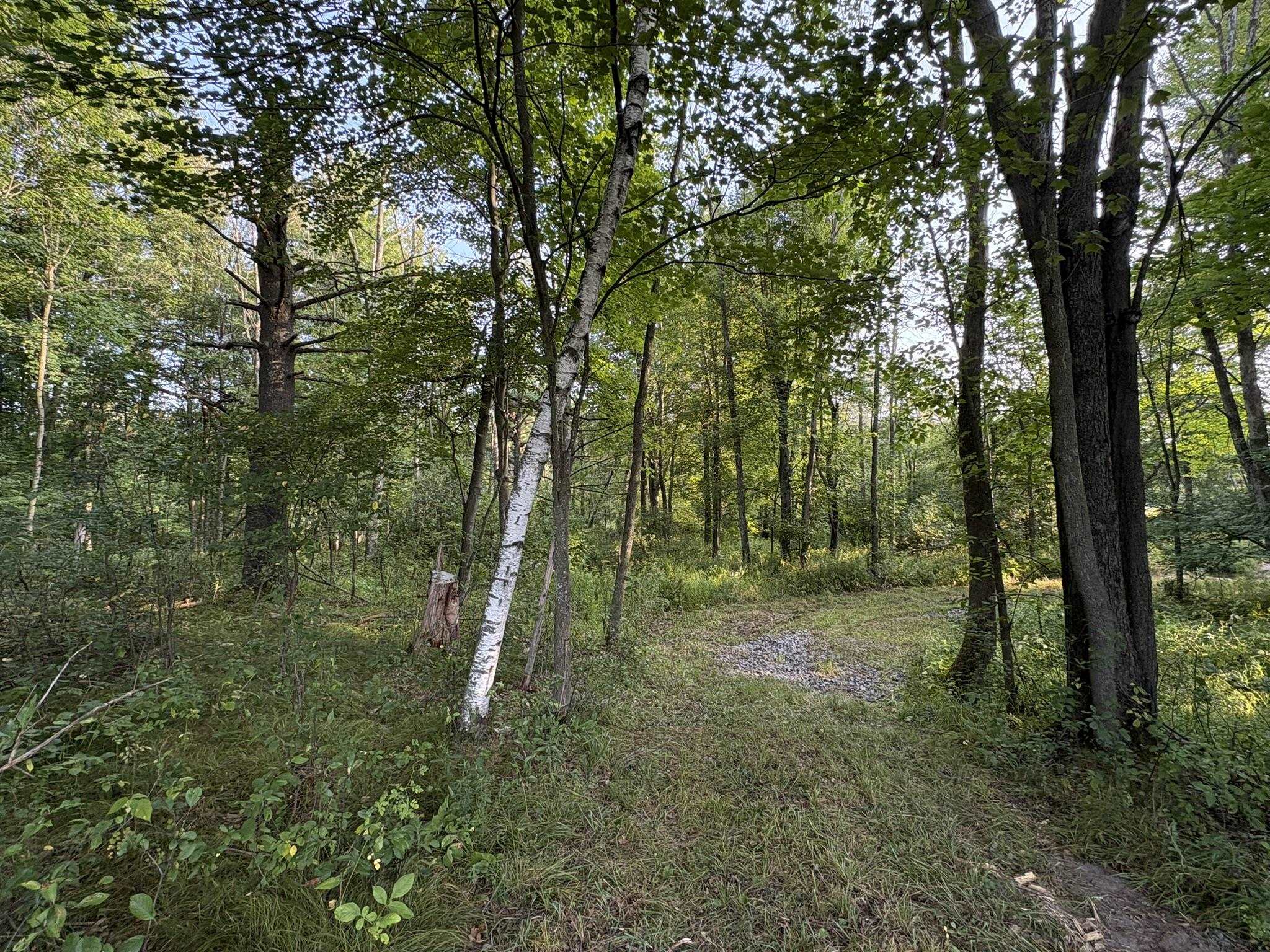 5457 State Highway 34 Property Photo 15
