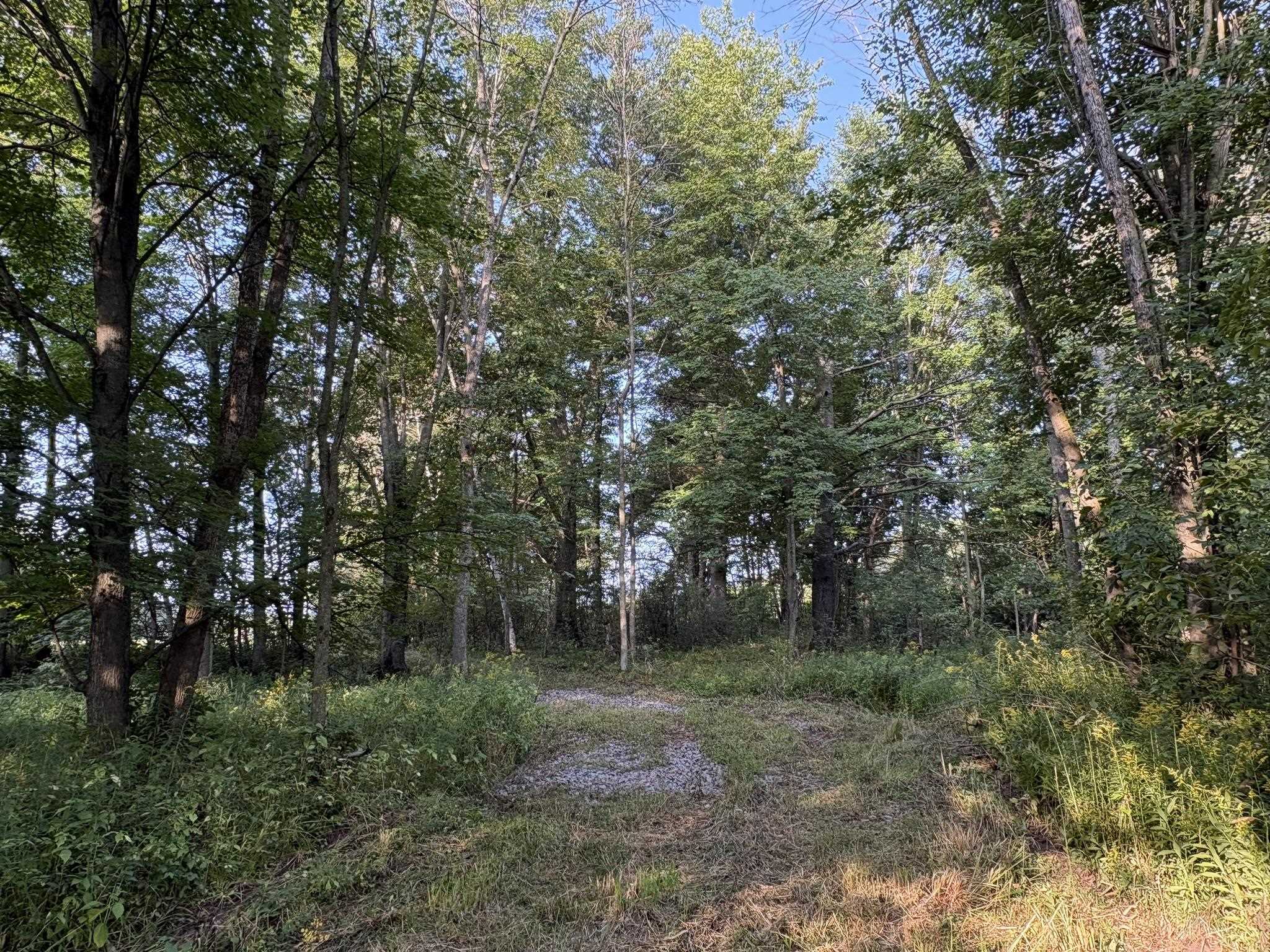 5457 State Highway 34 Property Photo 16