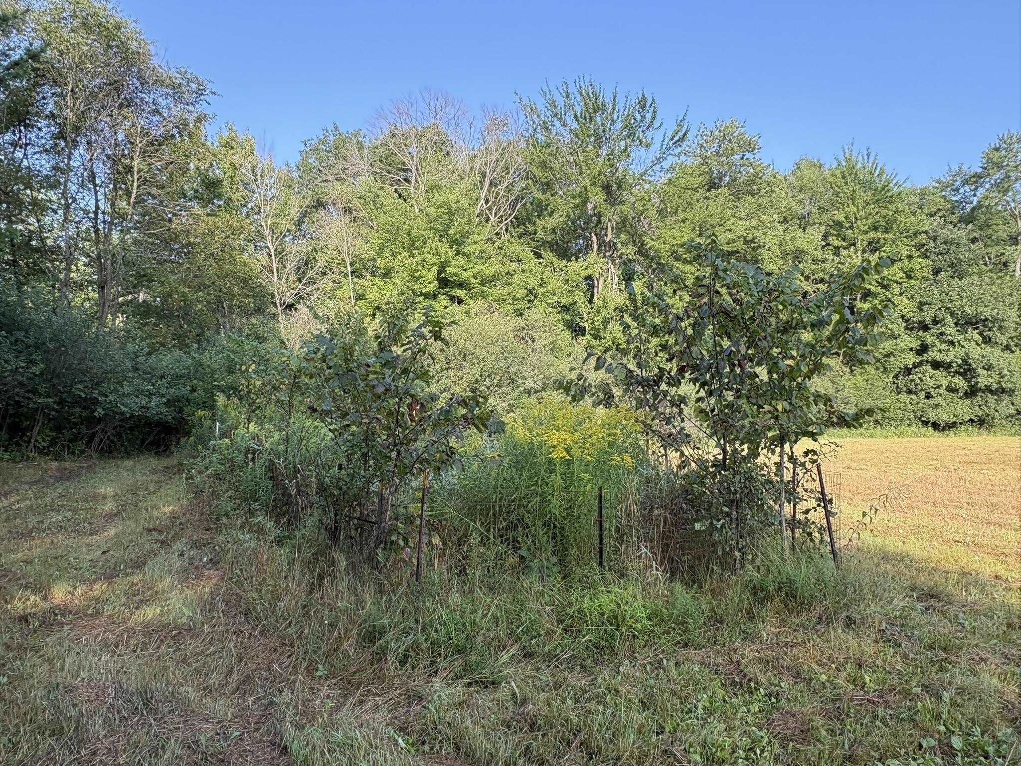 5457 State Highway 34 Property Photo 21