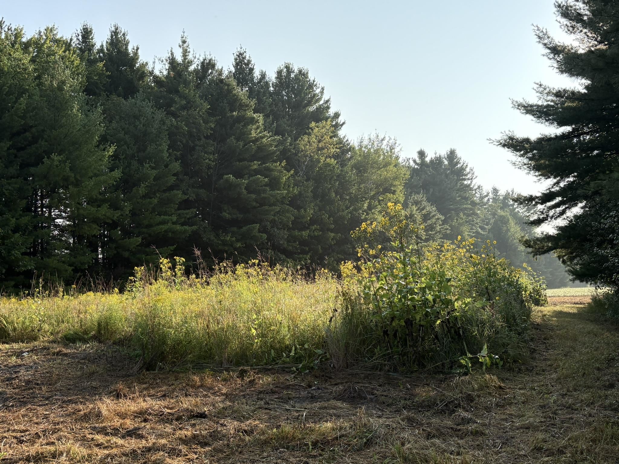 5457 State Highway 34 Property Photo 22
