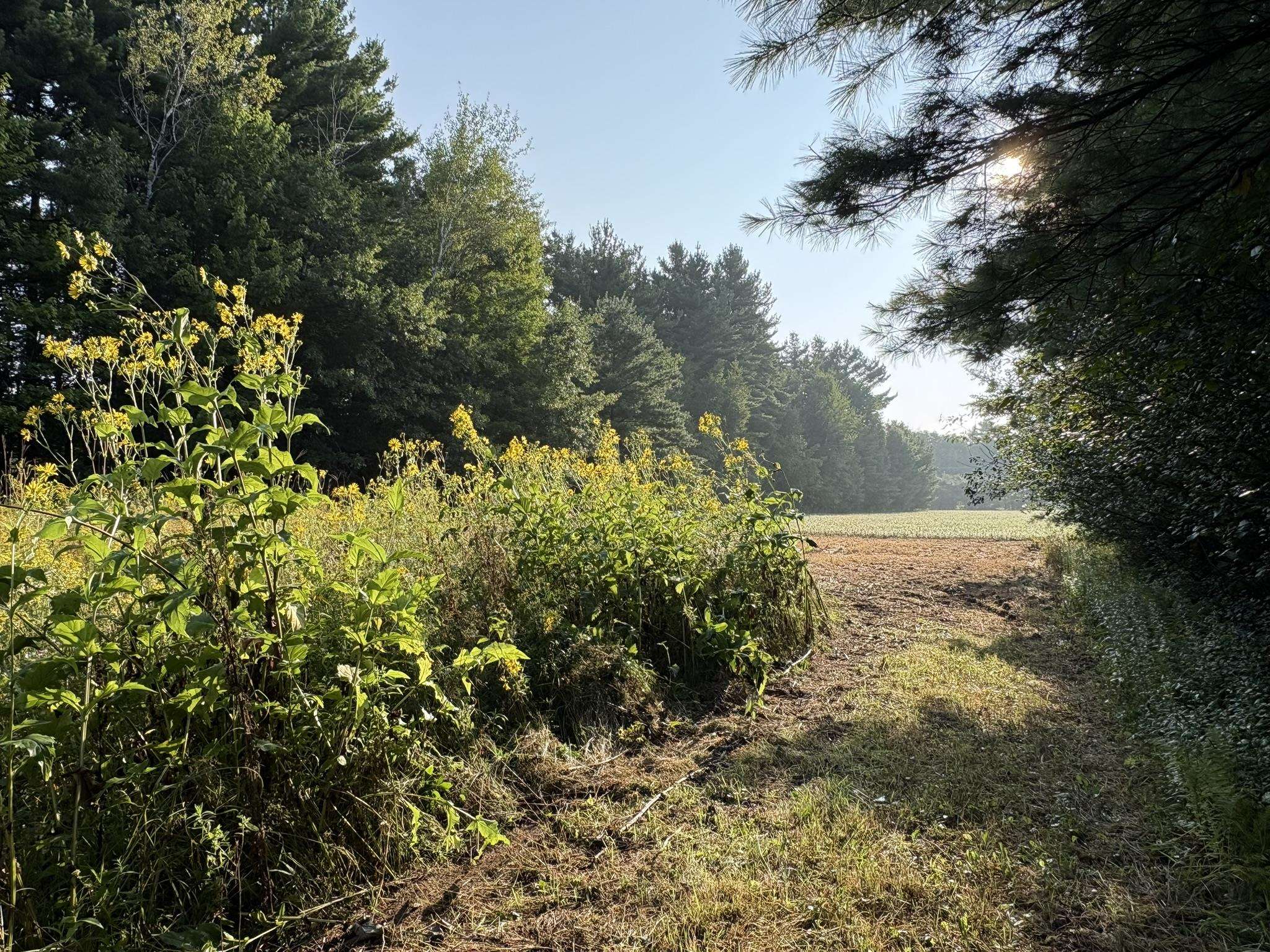 5457 State Highway 34 Property Photo 23