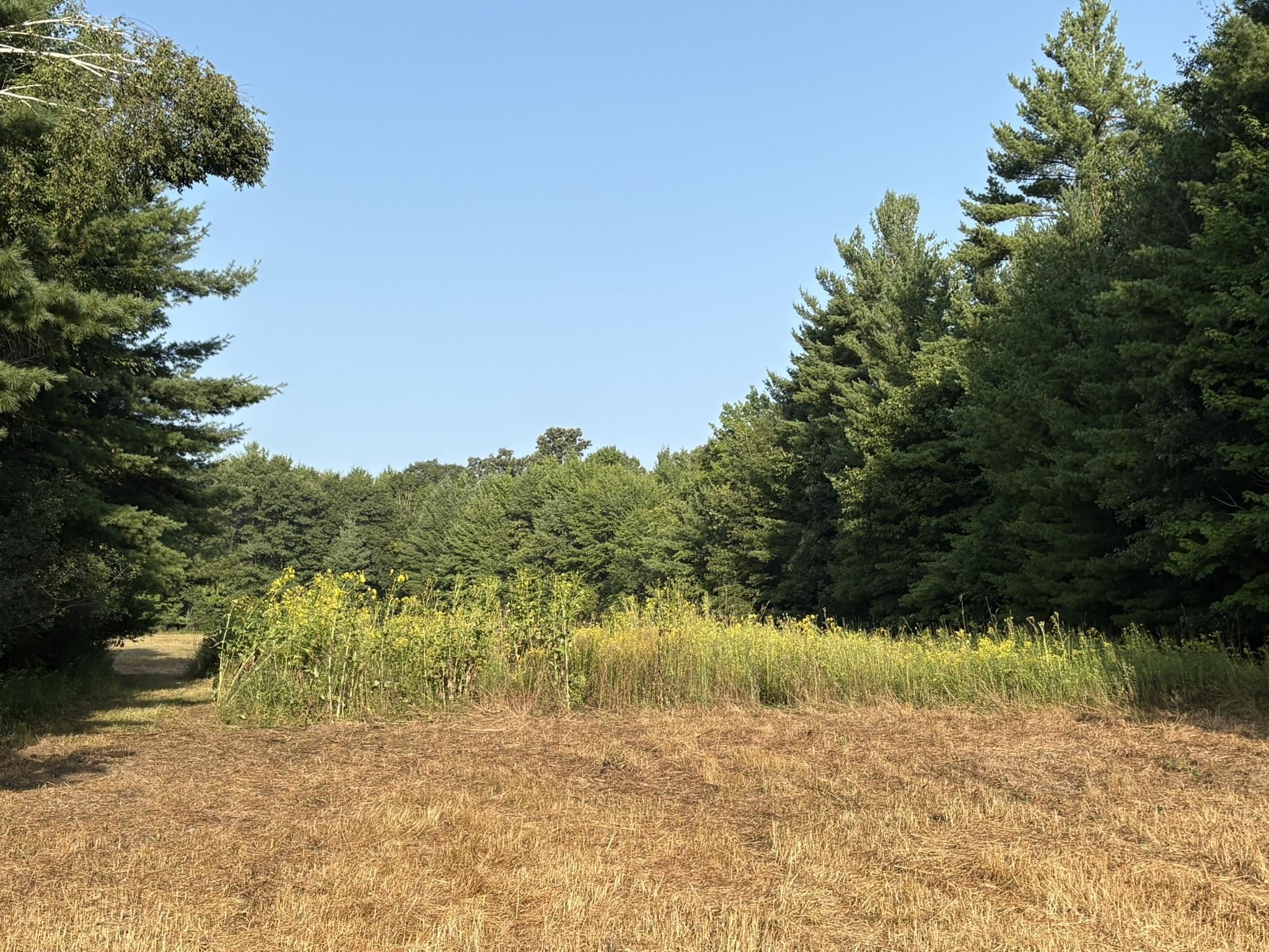 5457 State Highway 34 Property Photo 24