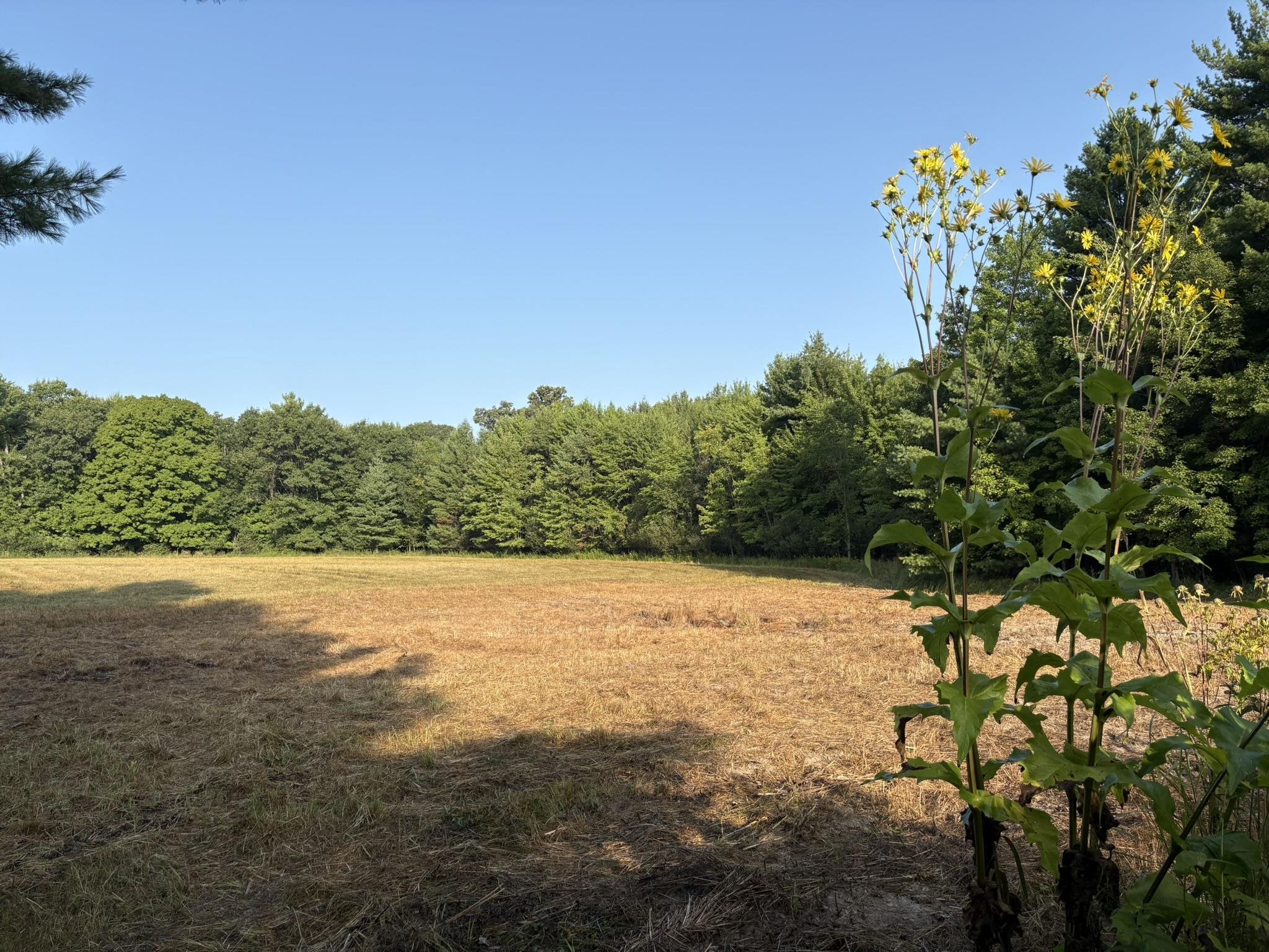 5457 State Highway 34 Property Photo 25