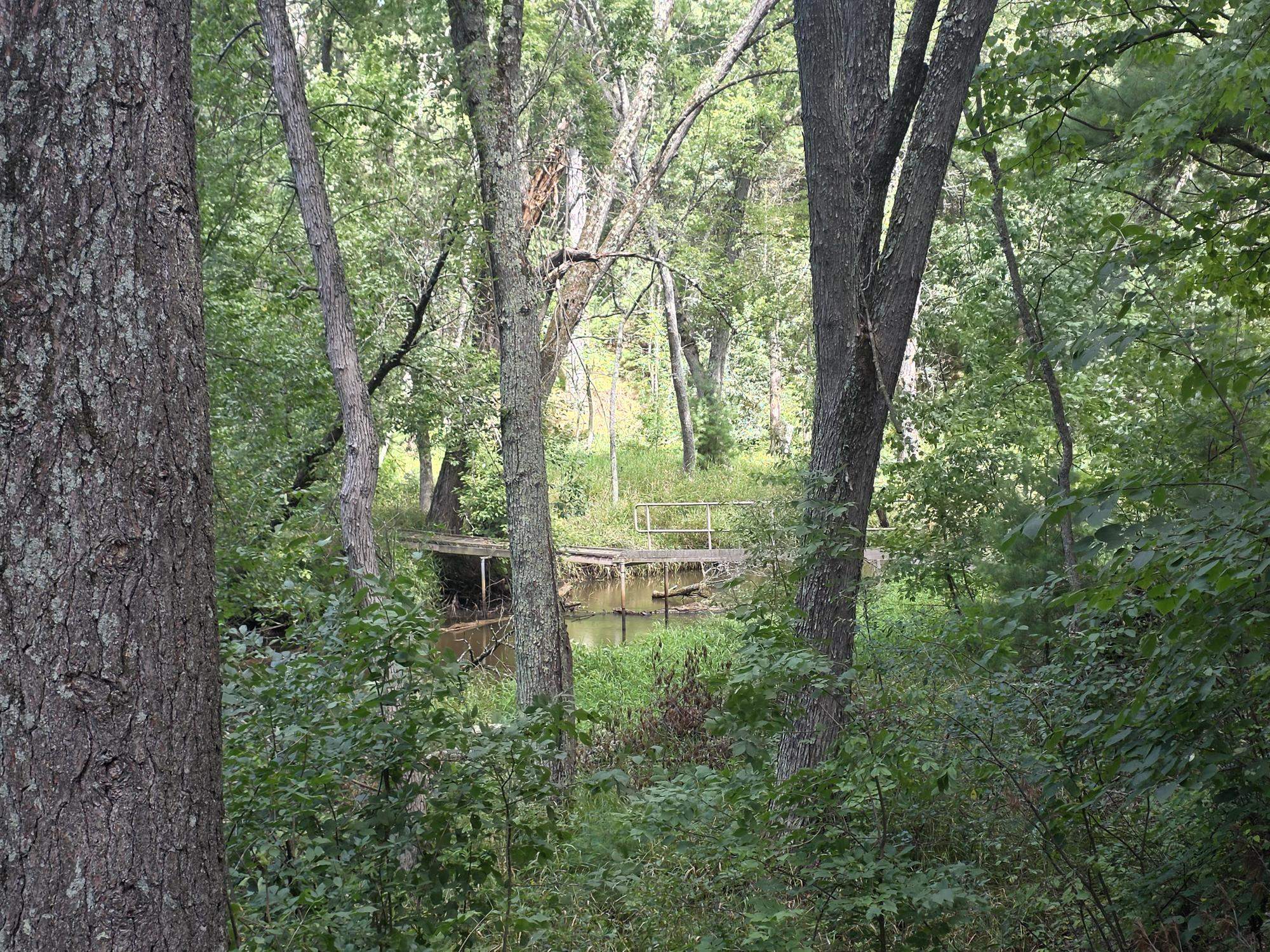 8531 Lake Road Property Photo 33
