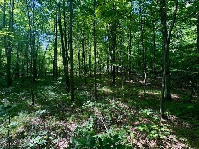 N8823 Dickerson Avenue Property Photo 1