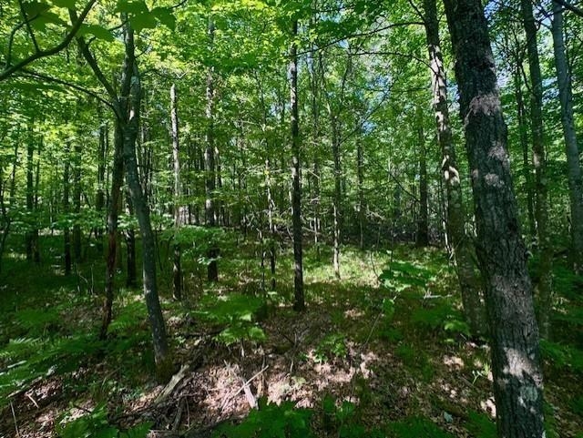 N8823 Dickerson Avenue Property Photo 2