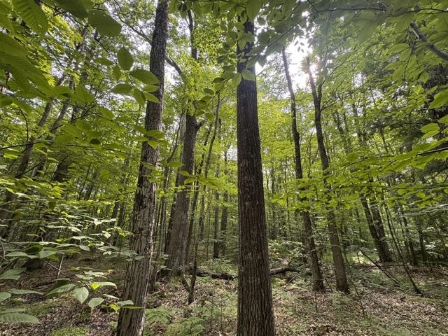 240701 Sawmill Road Property Photo 3