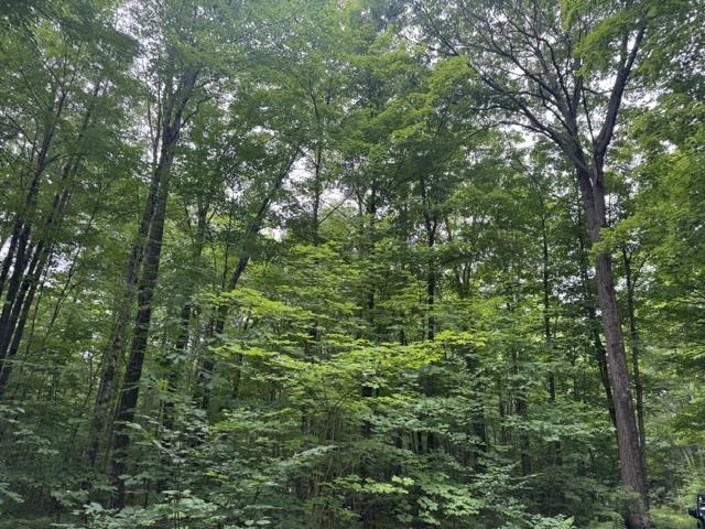 240701 Sawmill Road Property Photo 8