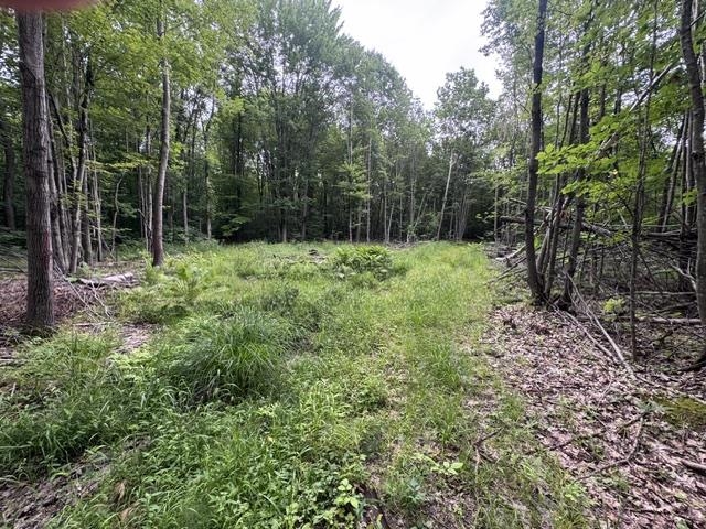 240701 Sawmill Road Property Photo 11