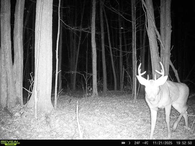 240701 Sawmill Road Property Photo 14