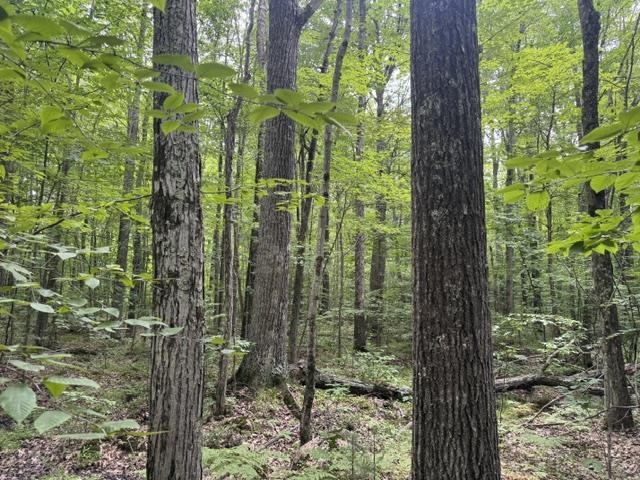 240701 Sawmill Road Property Photo 16