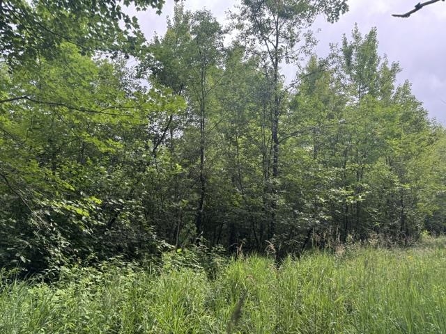 240701 Sawmill Road Property Photo 17