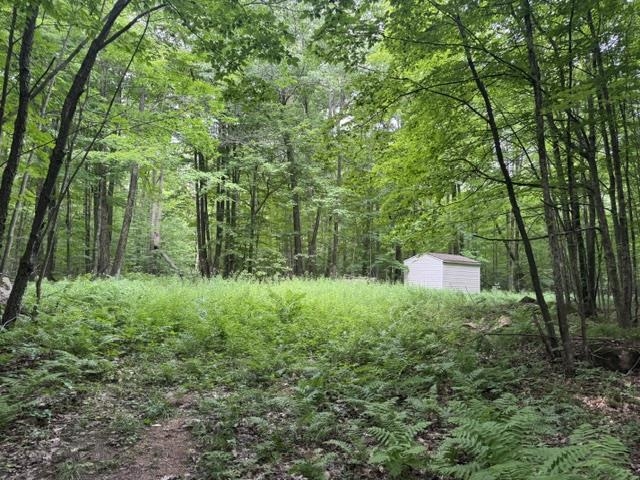 240701 Sawmill Road Property Photo 19
