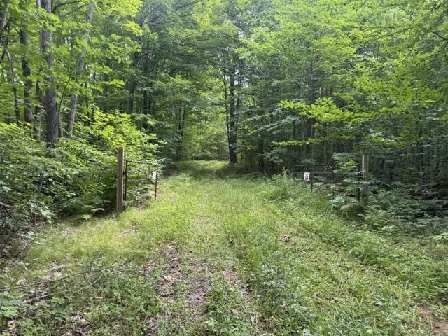240701 Sawmill Road Property Photo 21
