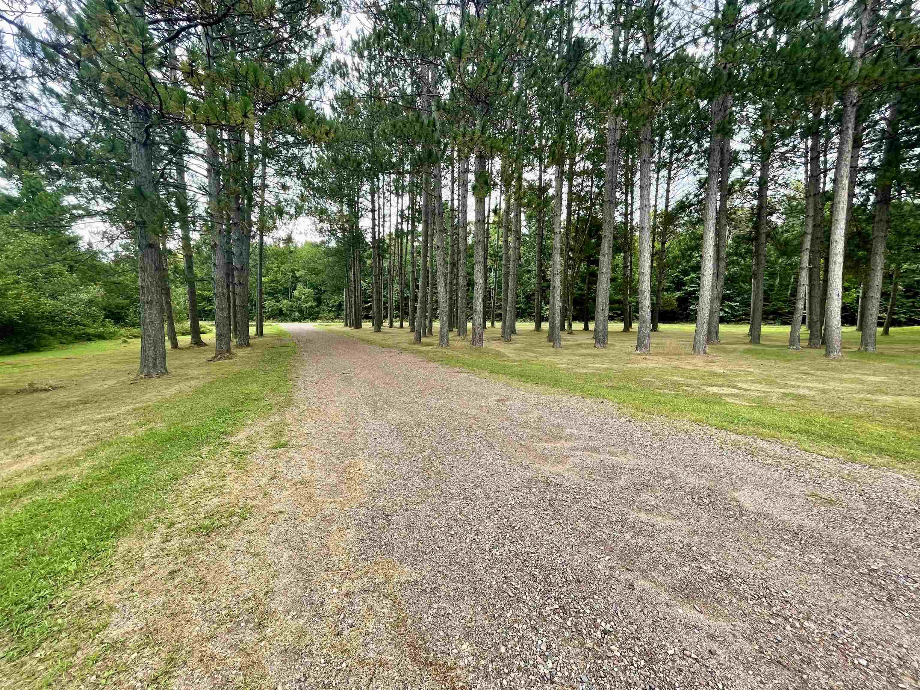 N3667 Ogema Prentice Road Property Photo 22