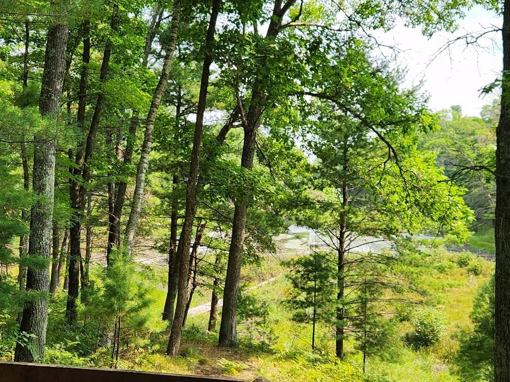6980 Partridge Road Property Photo 34