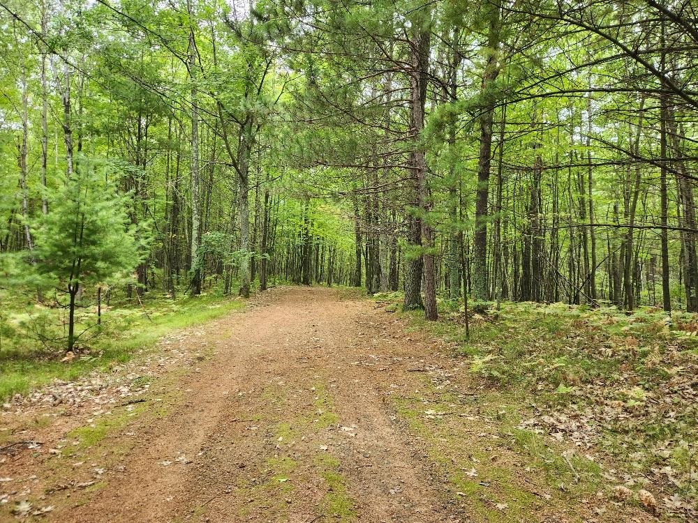 6980 Partridge Road Property Photo 48