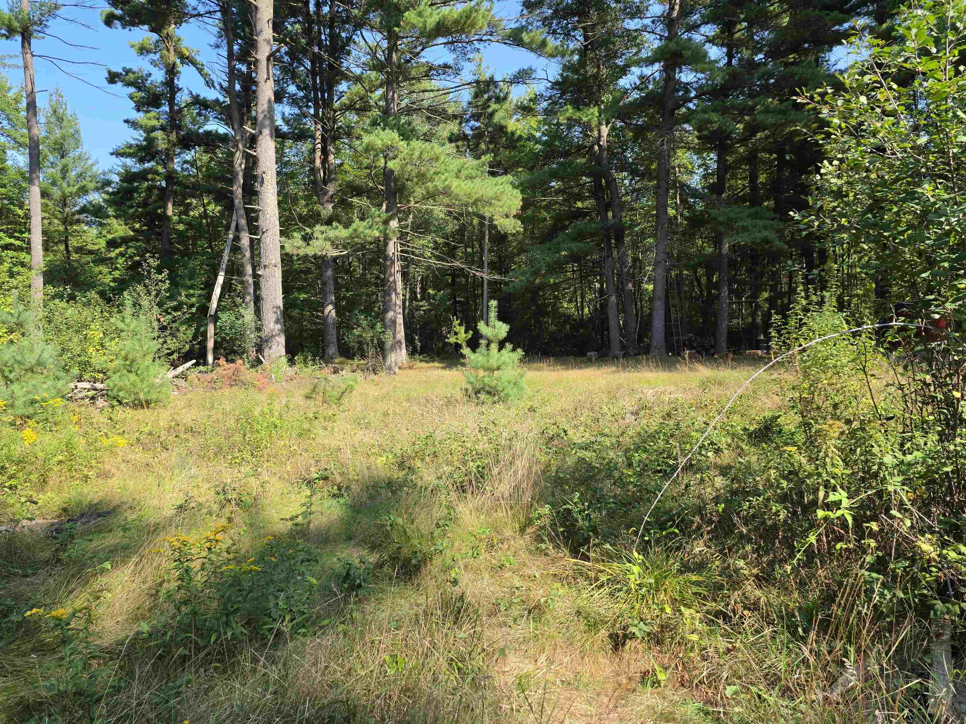 7811 Townline Road Property Photo 5