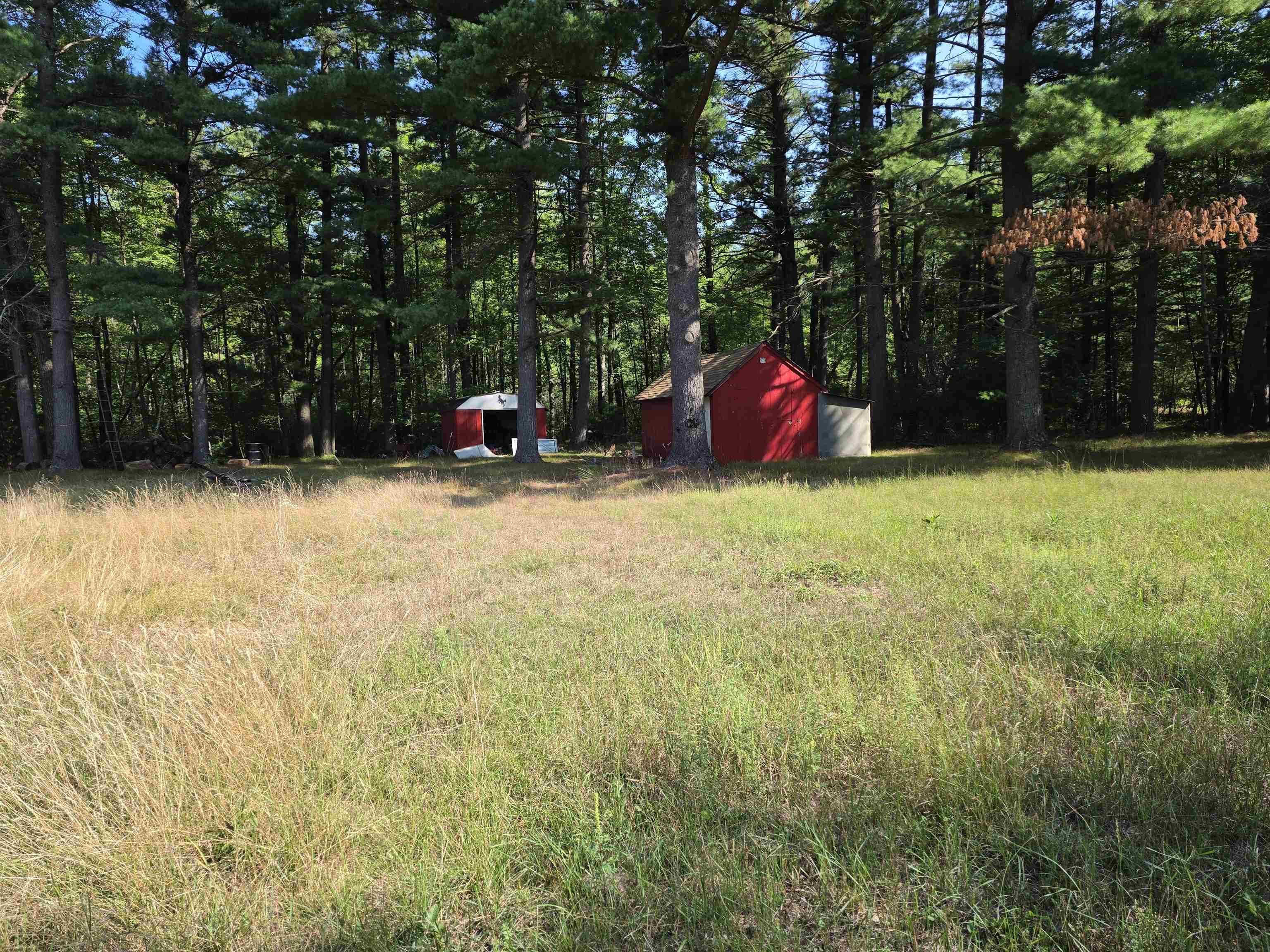 7811 Townline Road Property Photo 6