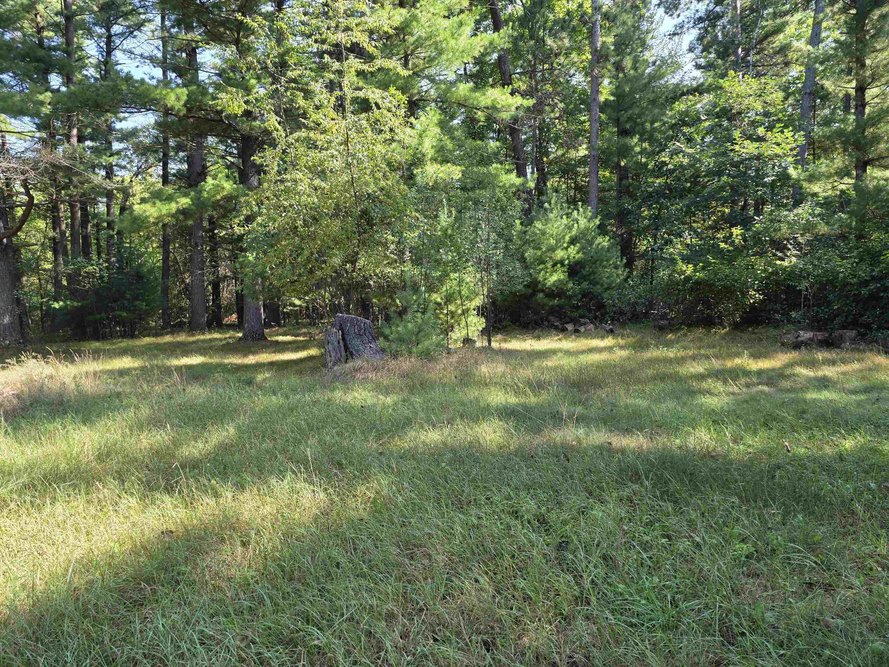 7811 Townline Road Property Photo 7