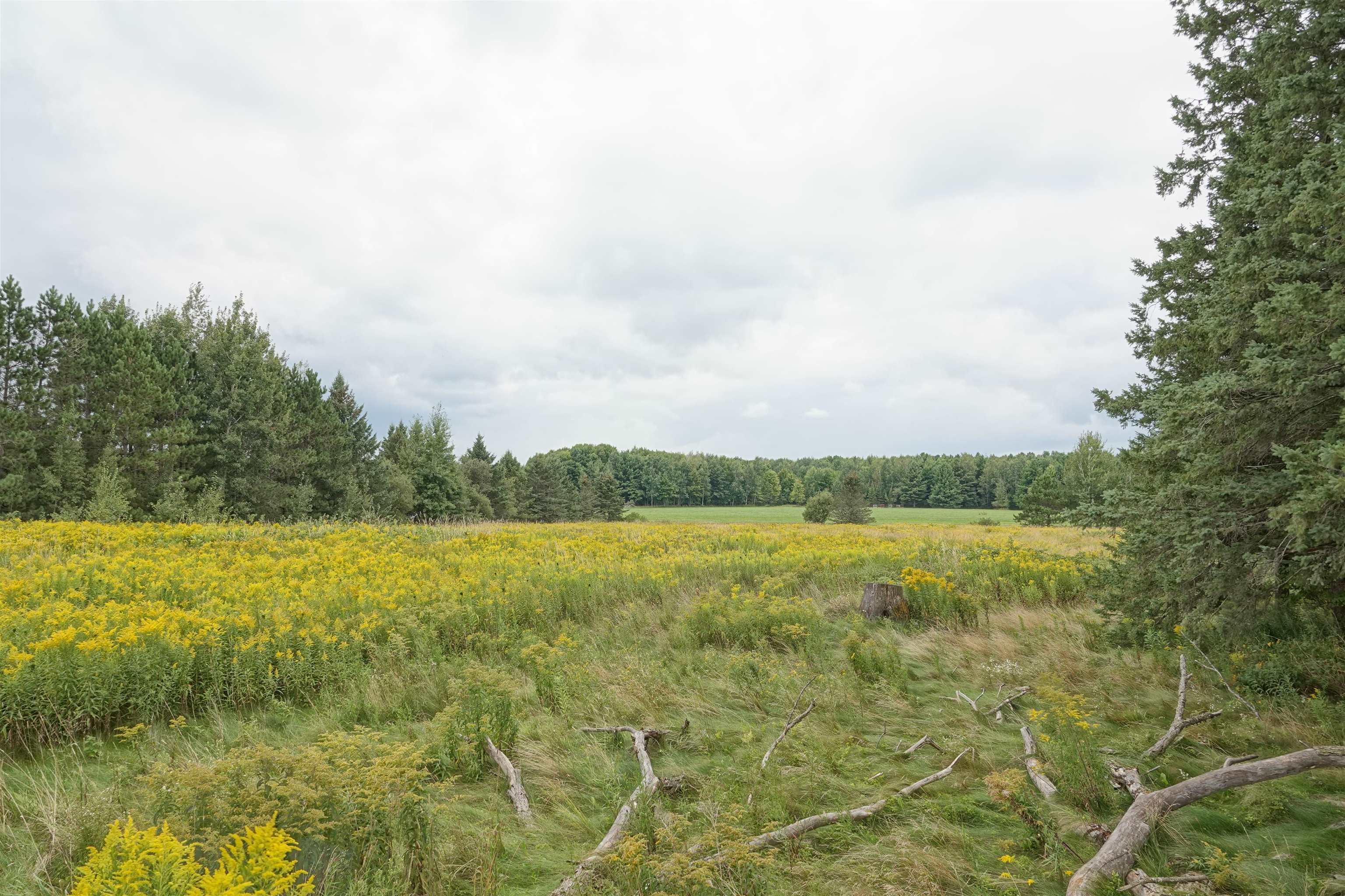 W2832 State Highway 64 Property Photo 4
