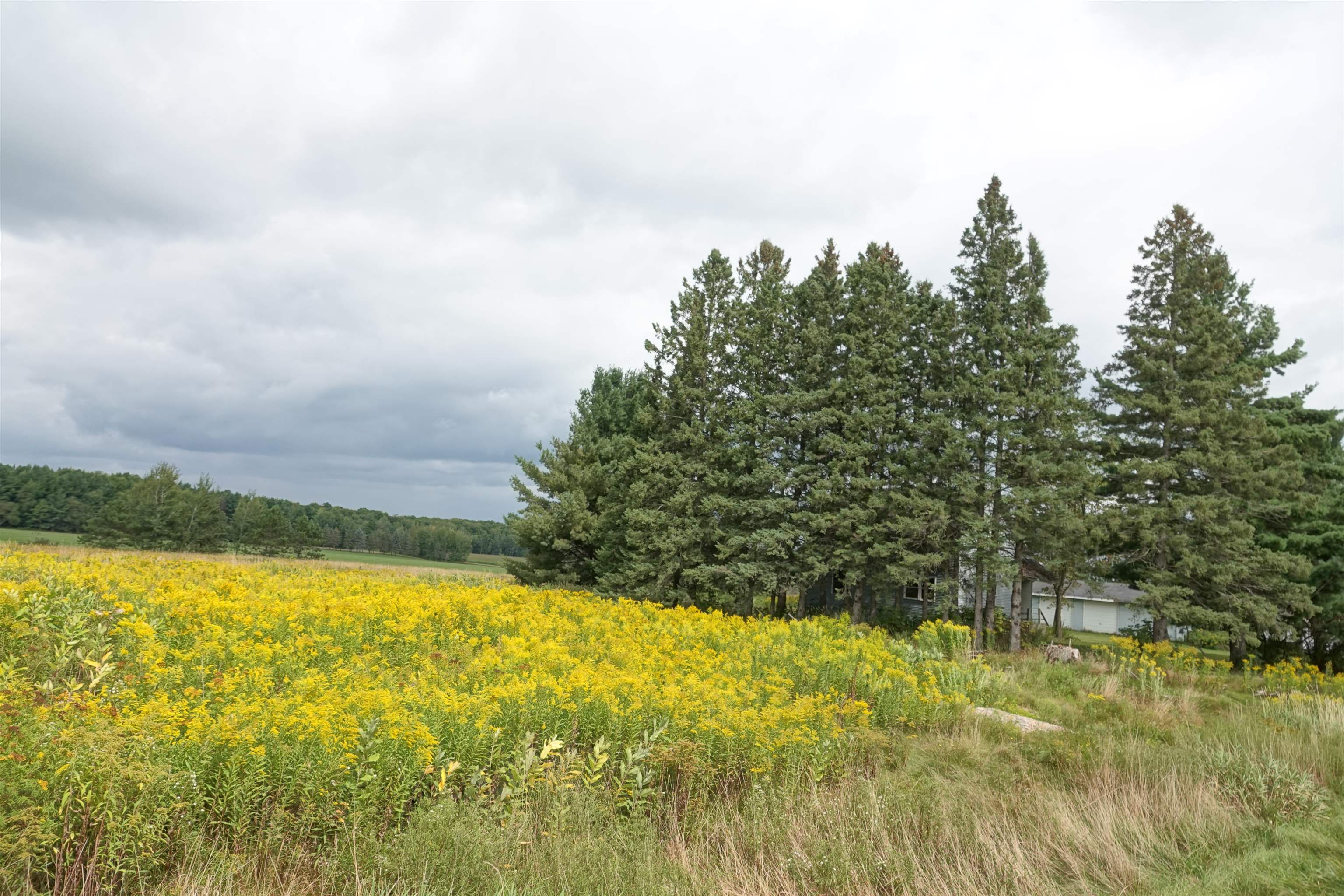 W2832 State Highway 64 Property Photo 5