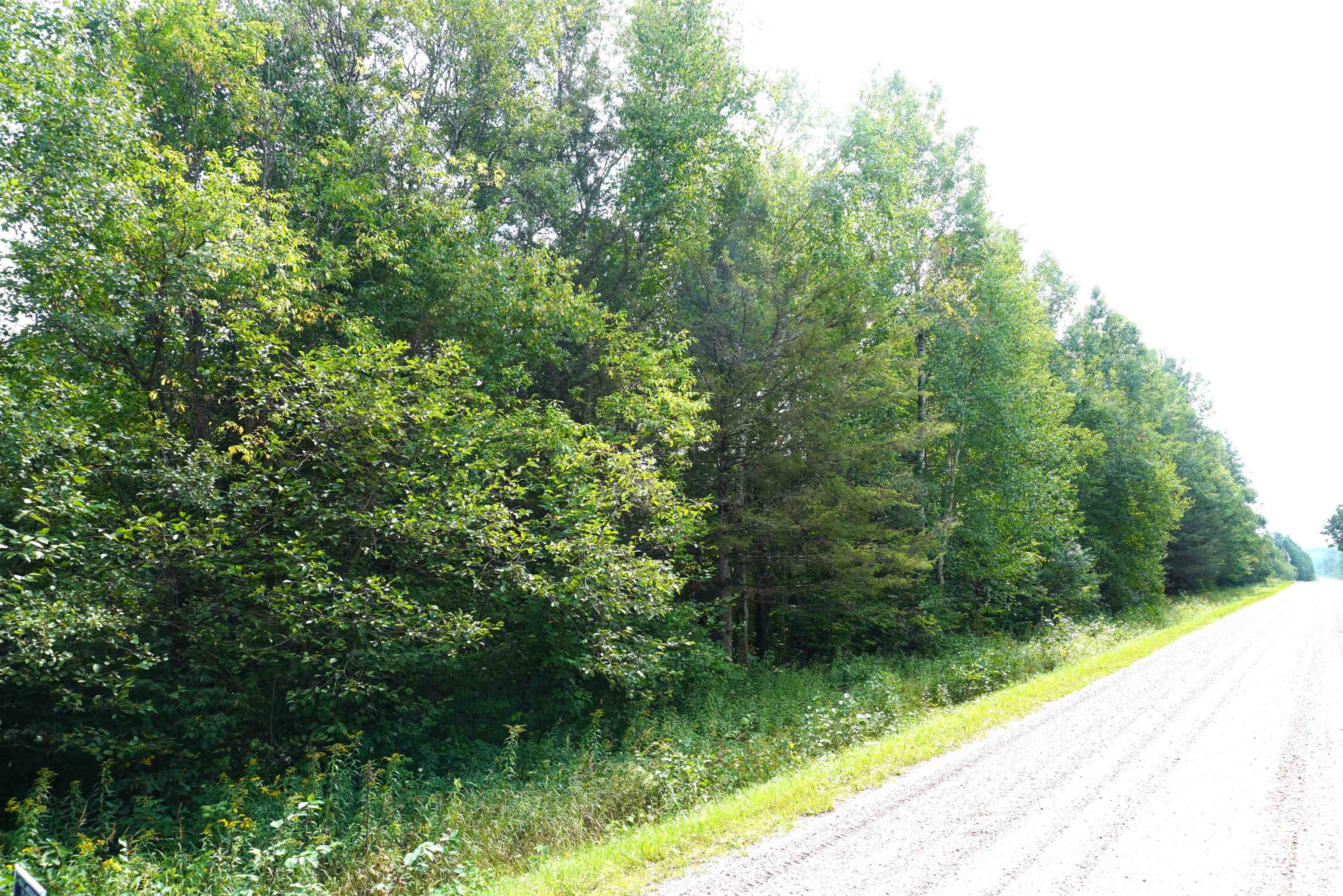 S-20 Acres RANGELINE ROAD Property Photo 1