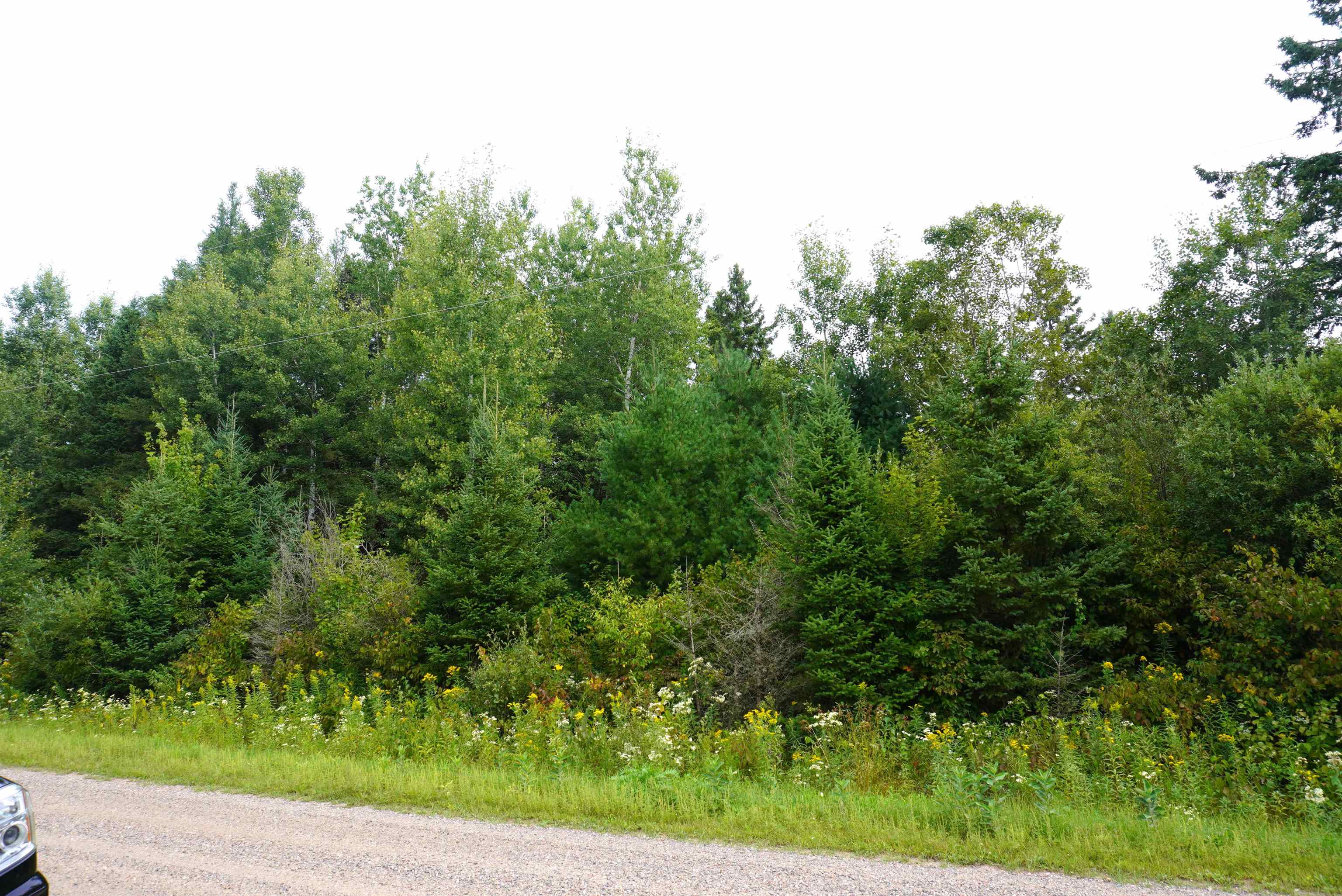 S-20 Acres Rangeline Road Property Photo 2