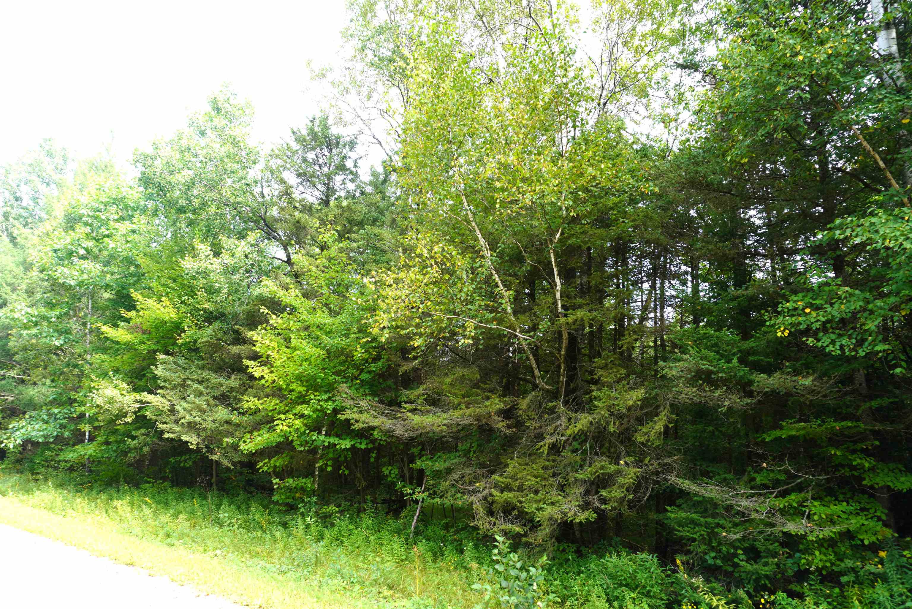 S-20 Acres Rangeline Road Property Photo 3