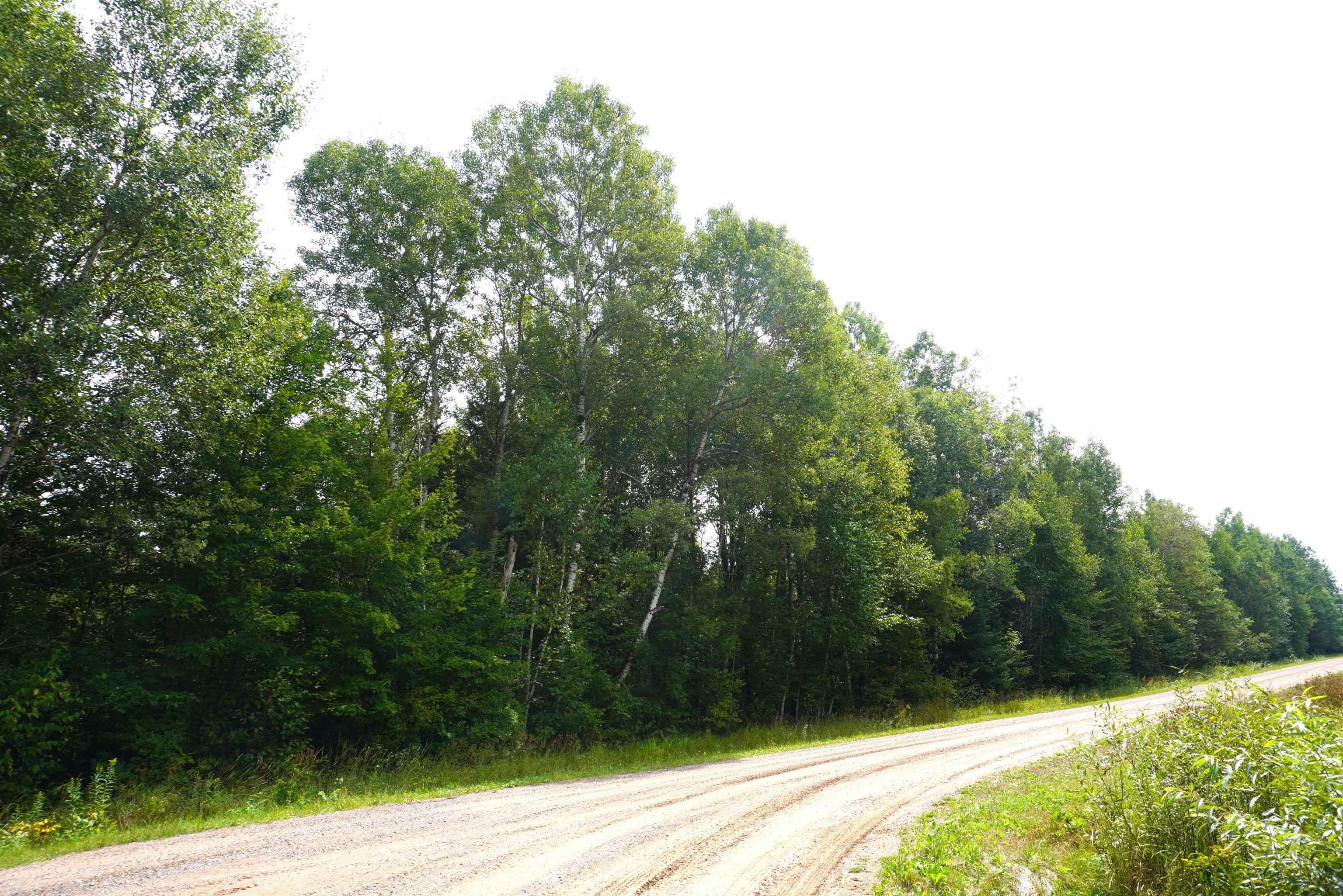 N-20 Acres Rangeline Road Property Photo 1