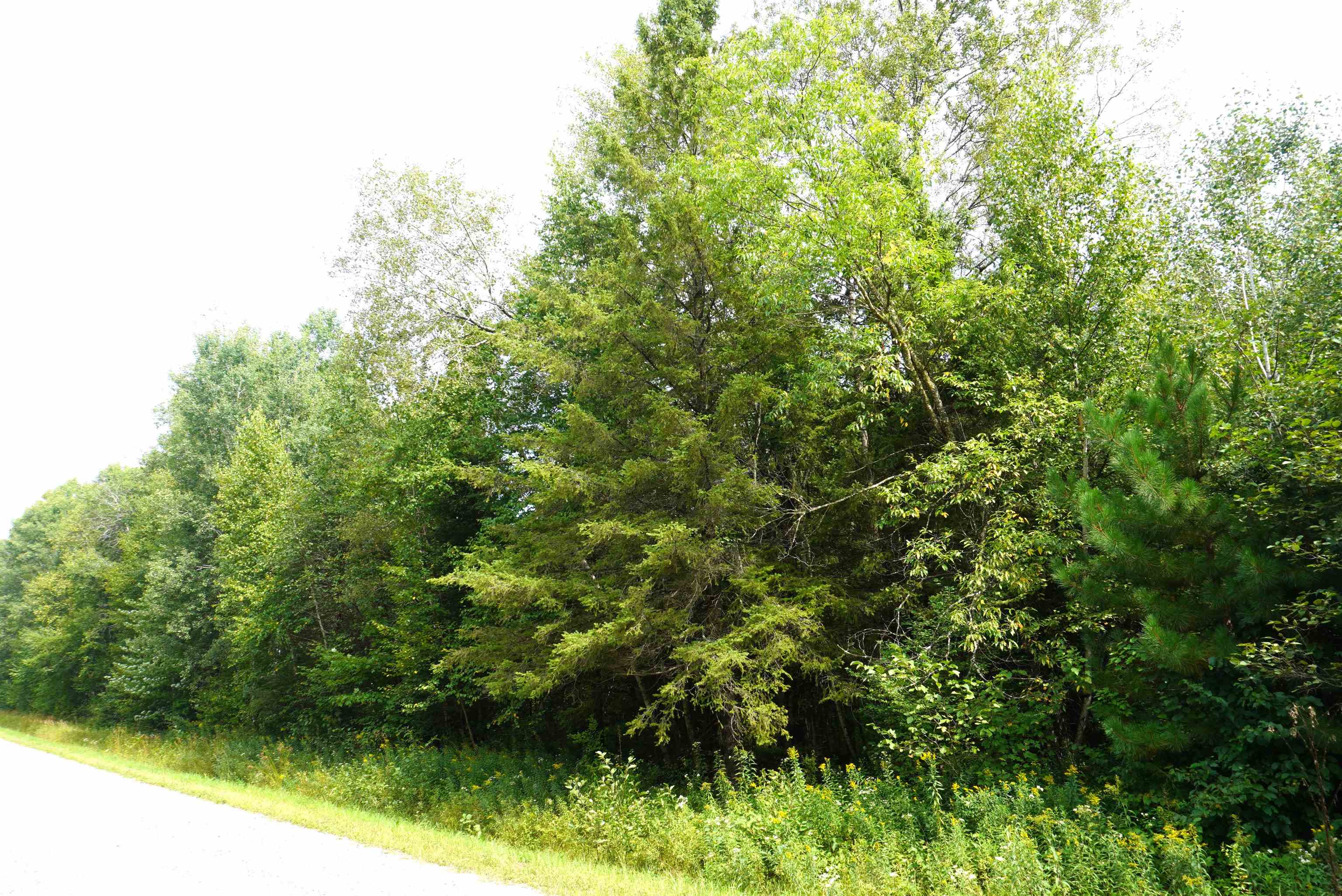 N-20 Acres Rangeline Road Property Photo 3