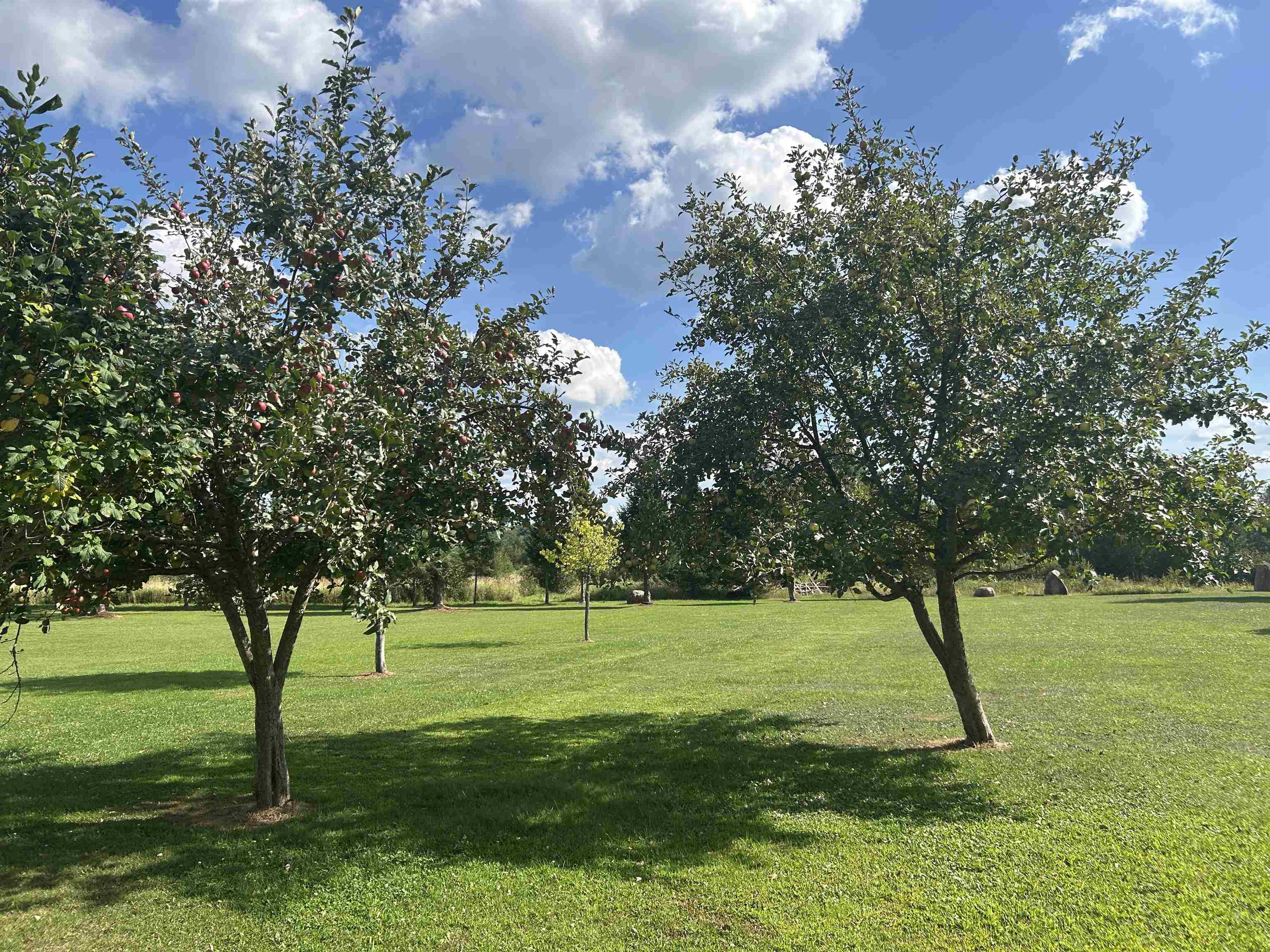 175933 E State Highway 153 Property Photo 23