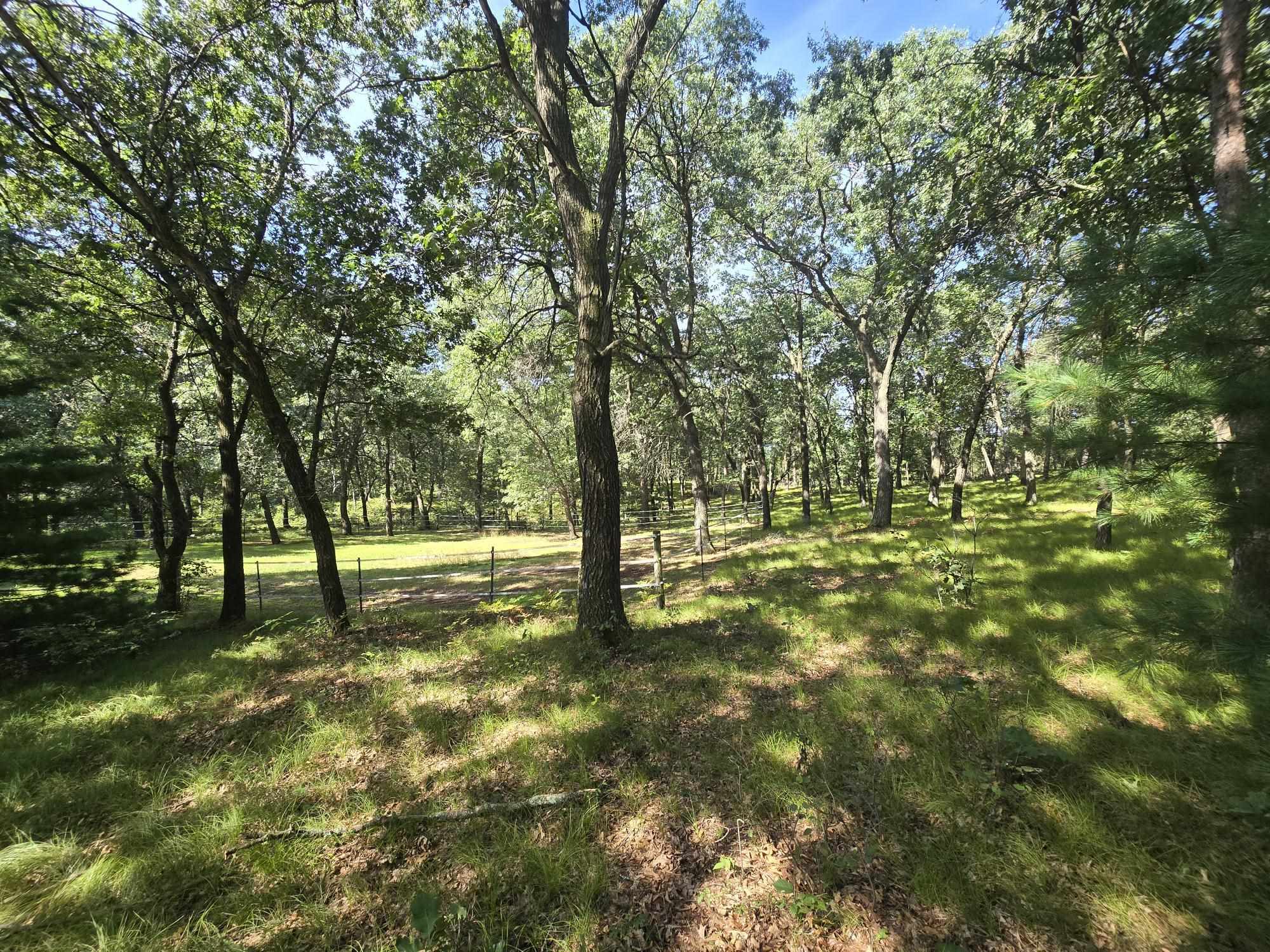 517 Regal Forest Trail Property Photo 51