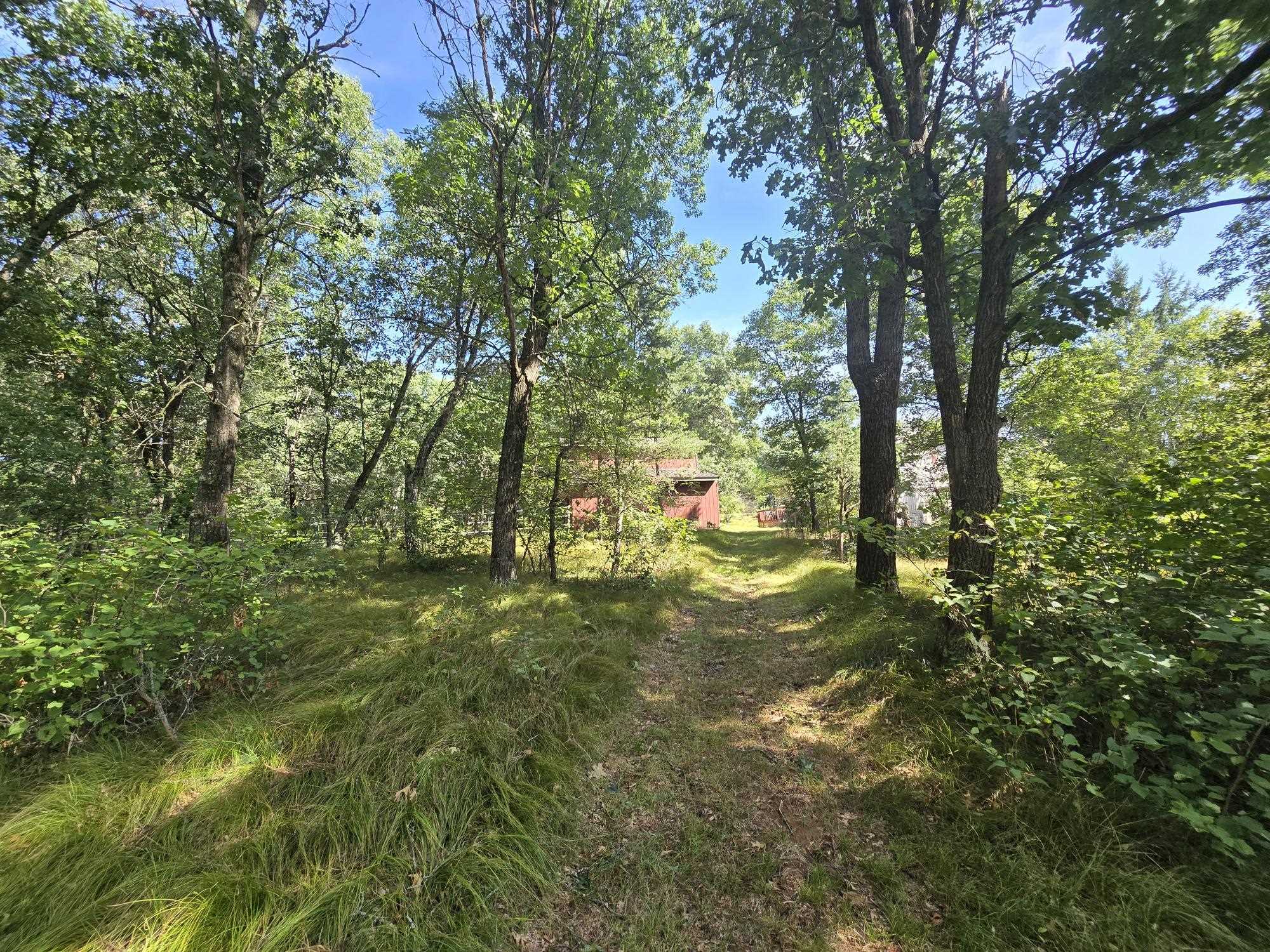 517 Regal Forest Trail Property Photo 53
