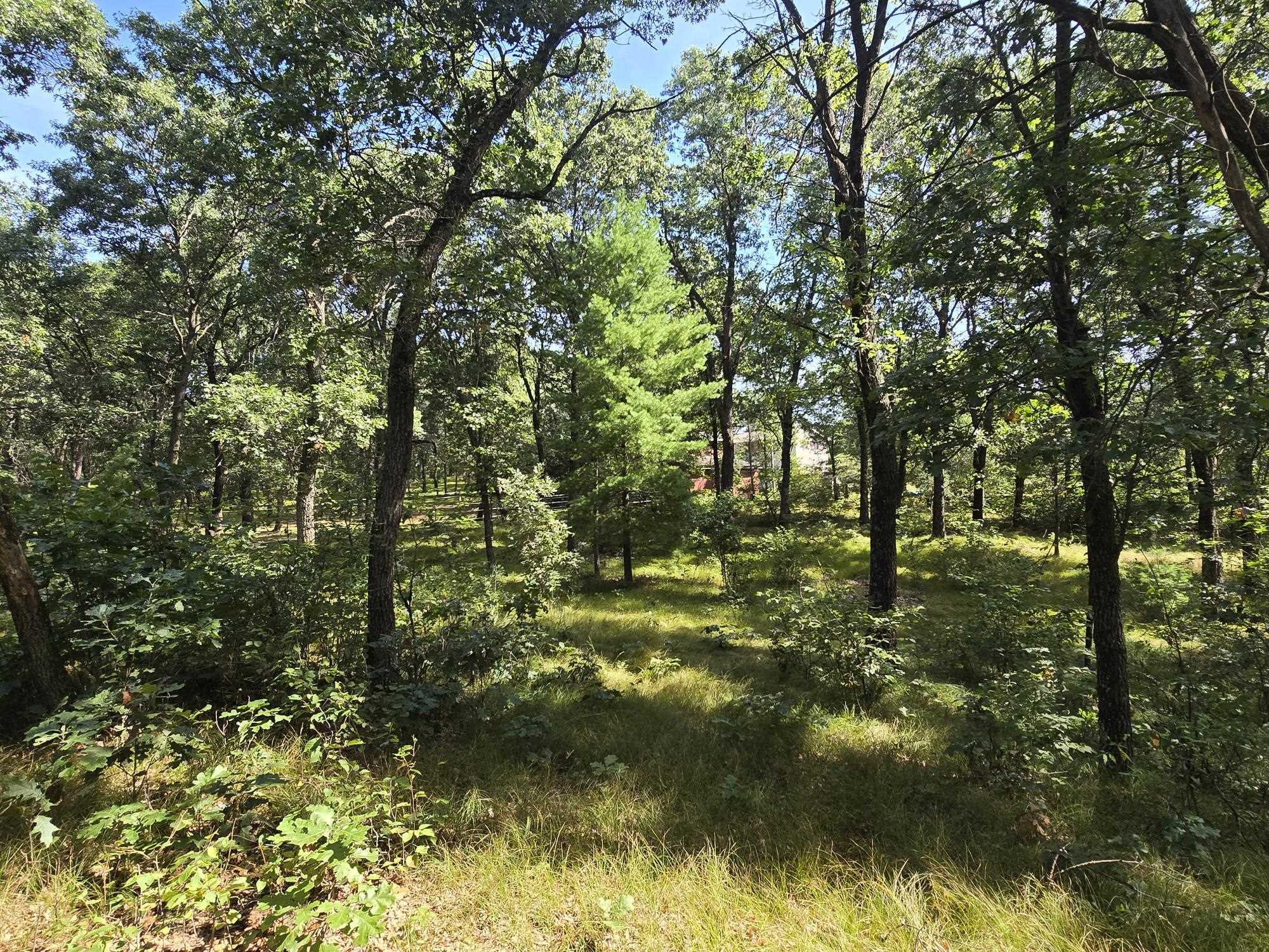 517 Regal Forest Trail Property Photo 54