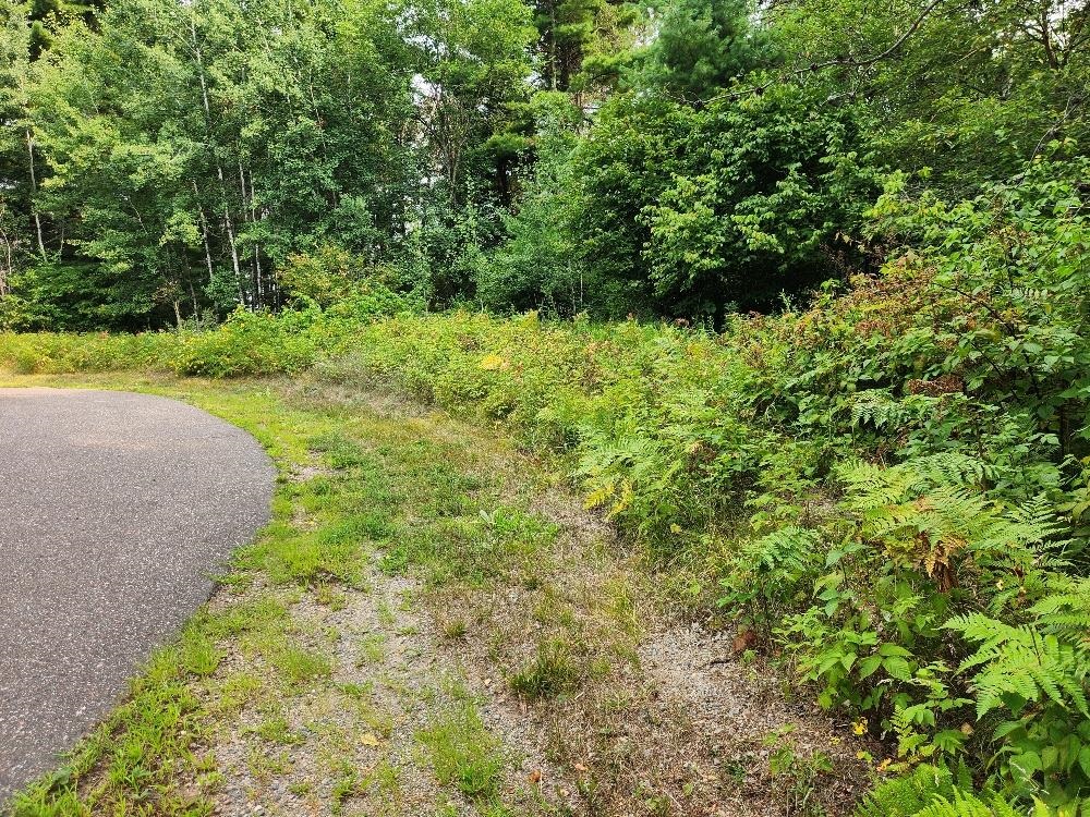 On Grand Pines Drive Property Photo 3