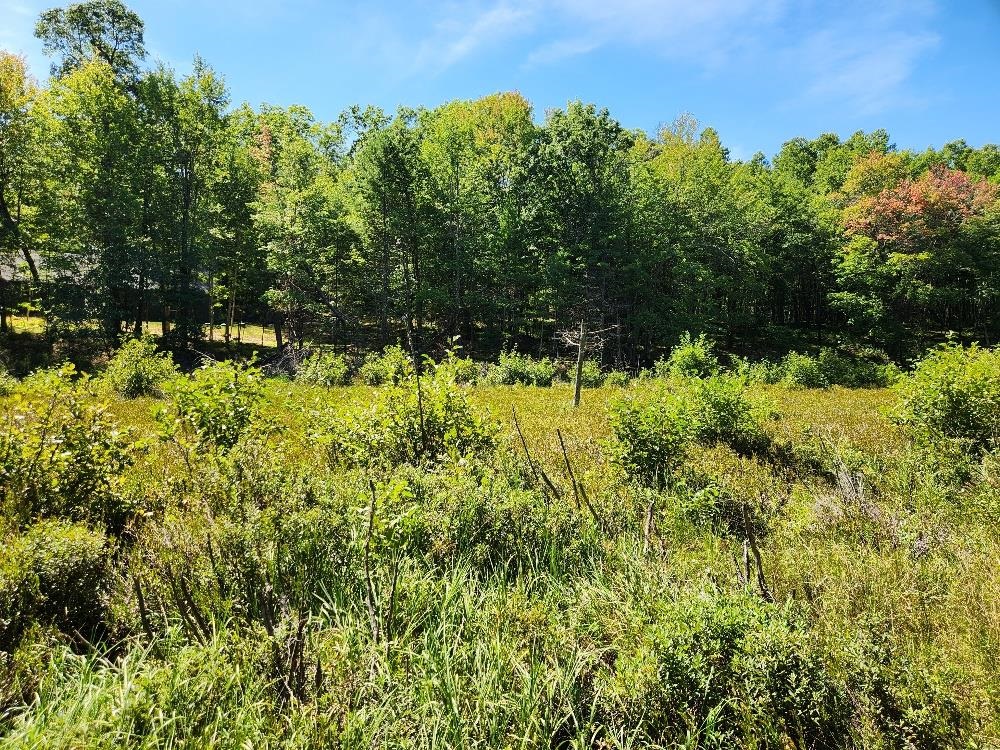 On Grand Pines Drive Property Photo 8