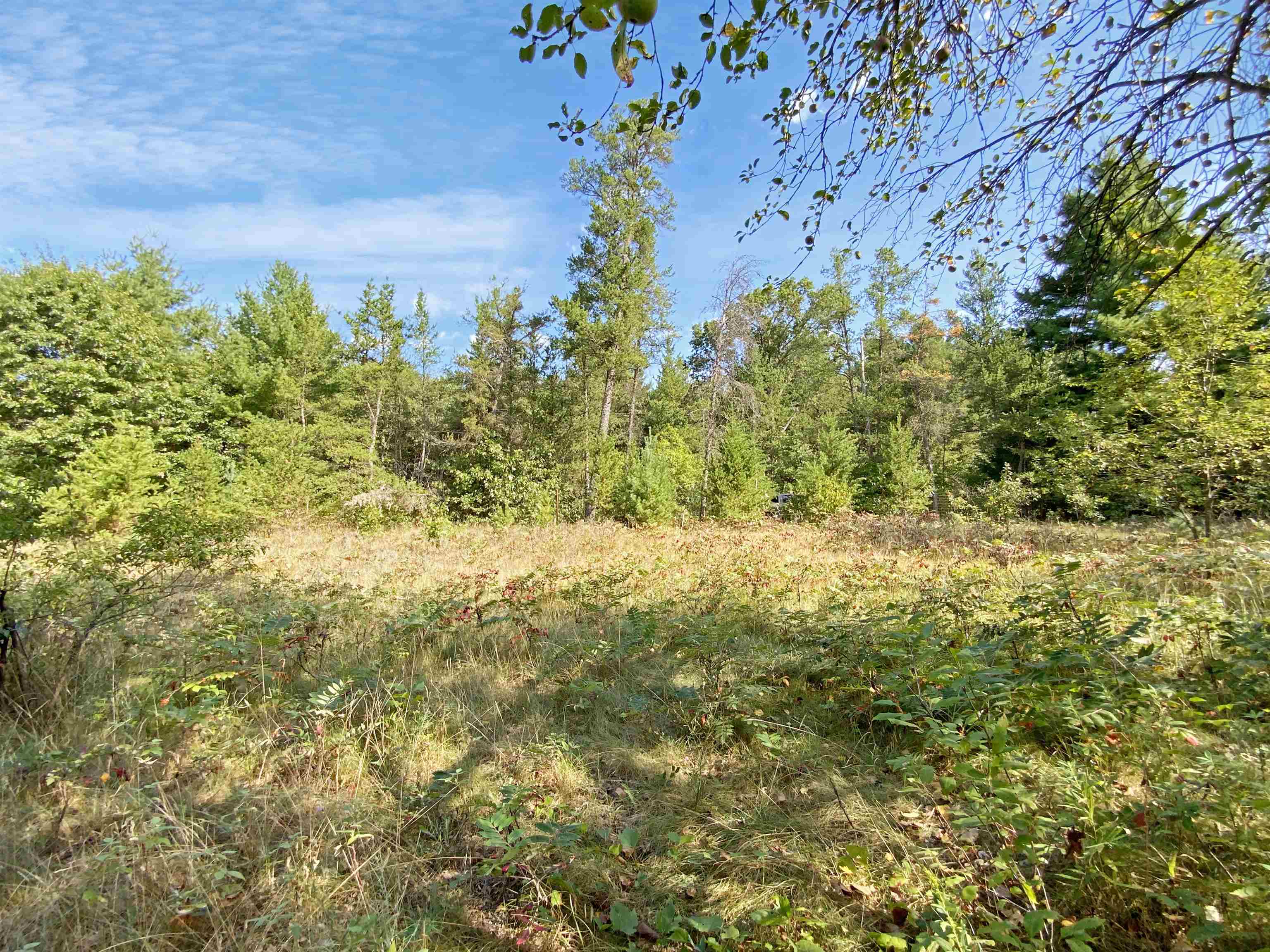 N10595 Trinity Way Property Photo 4