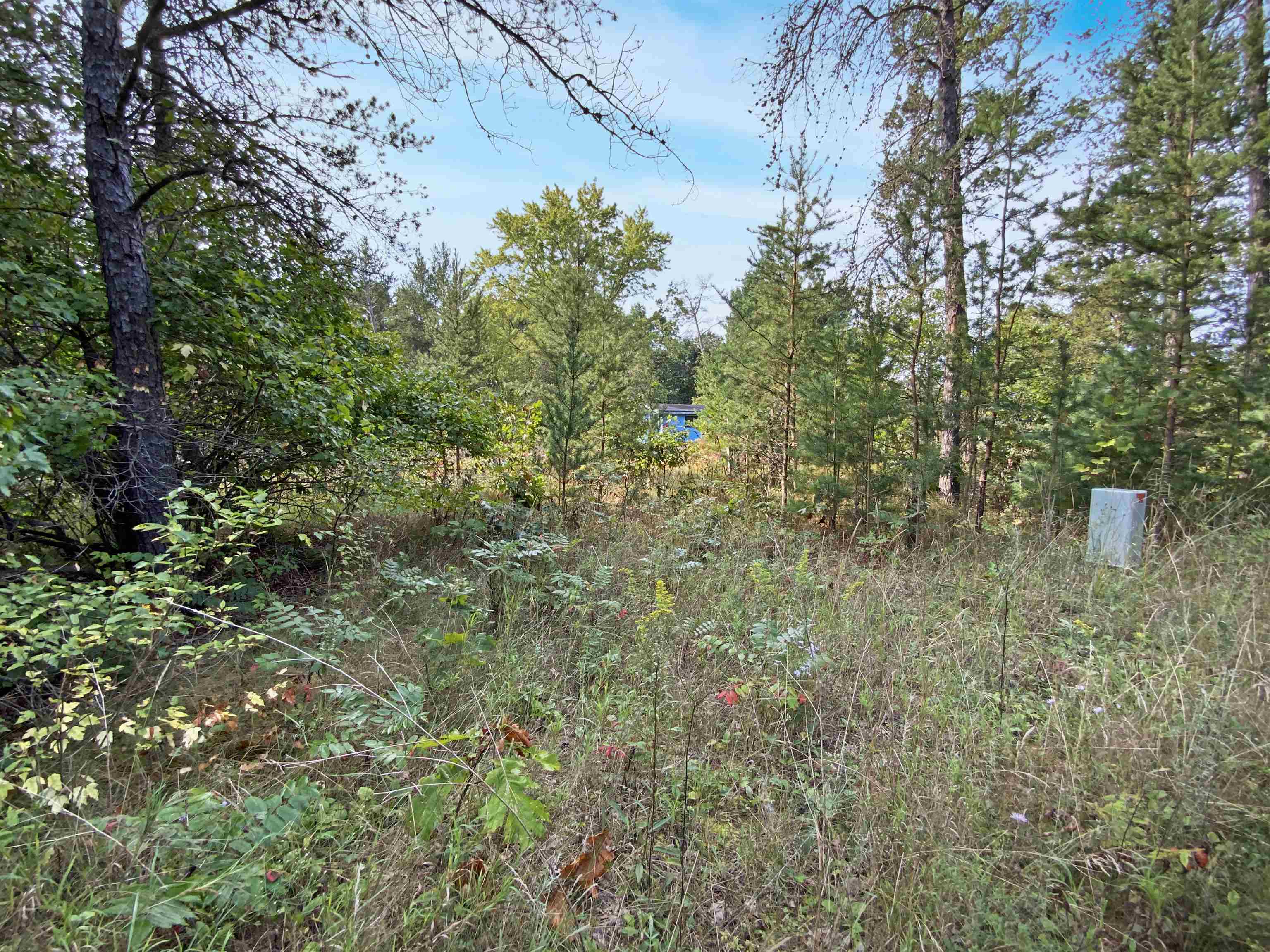 N10595 Trinity Way Property Photo 5