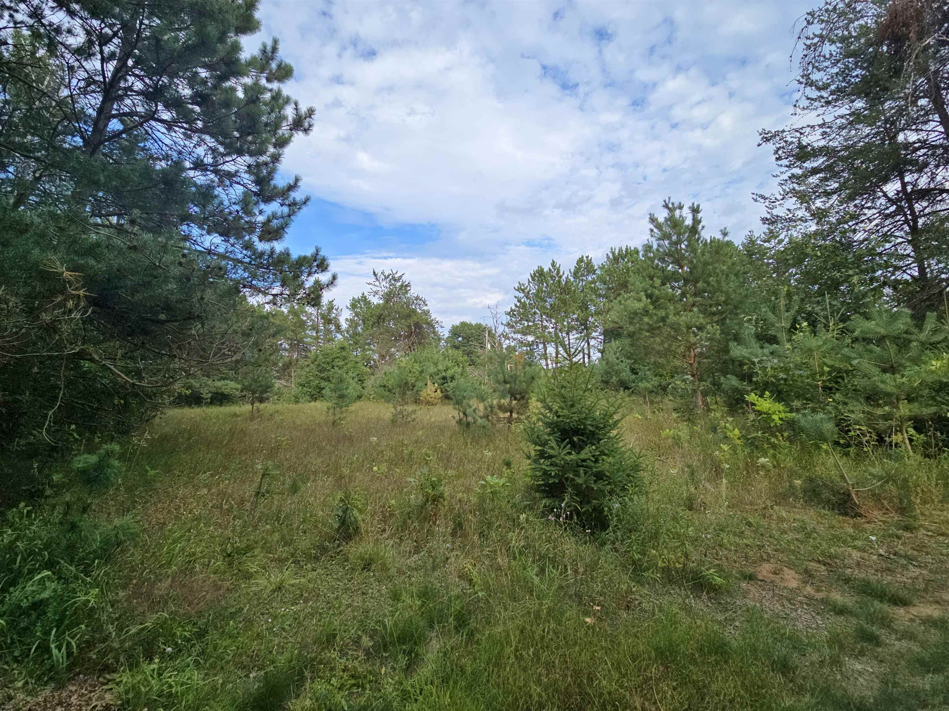 4470 Coolidge Avenue Property Photo 38
