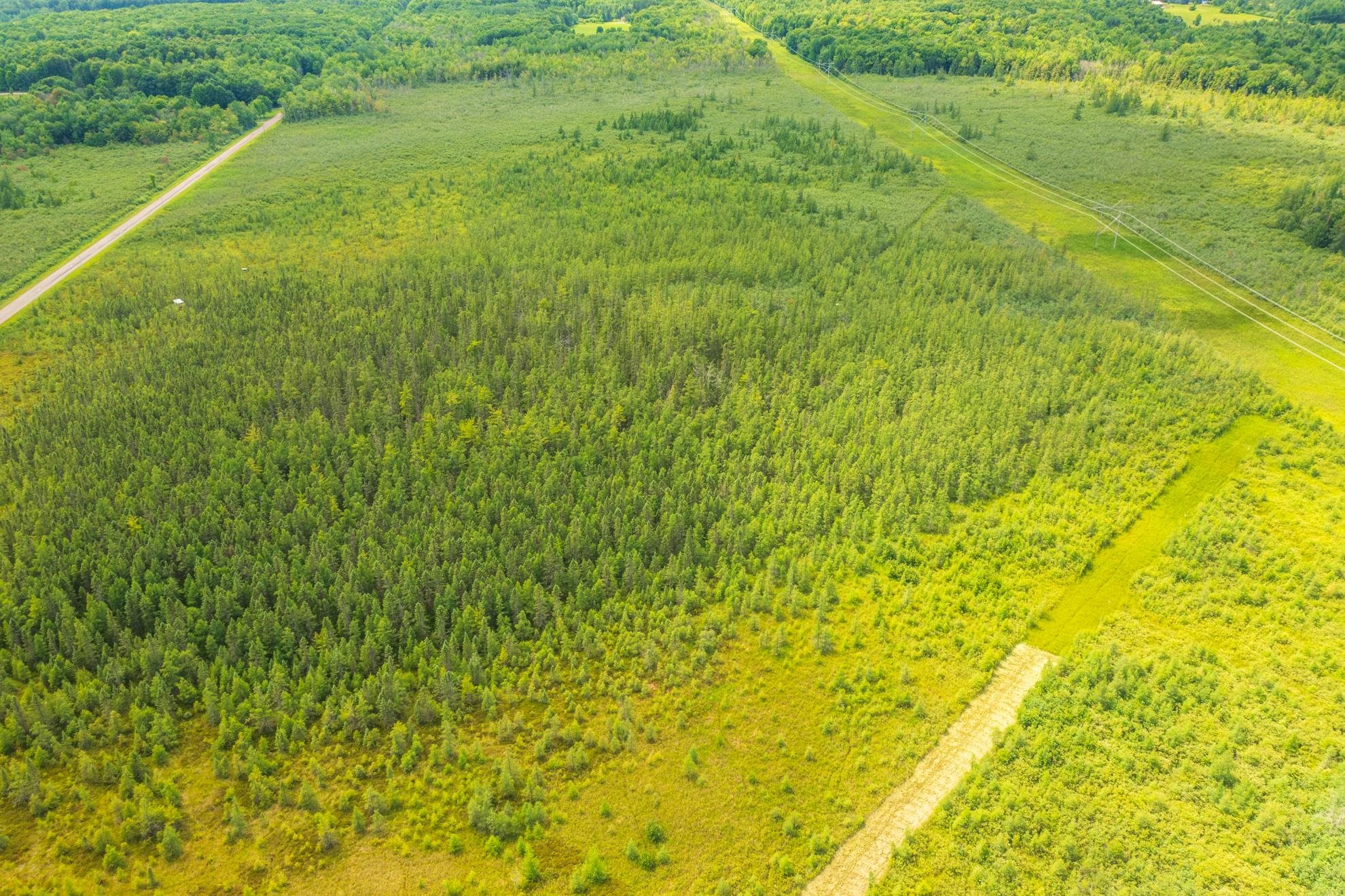 40 Acres Shorey Avenue Property Photo 3