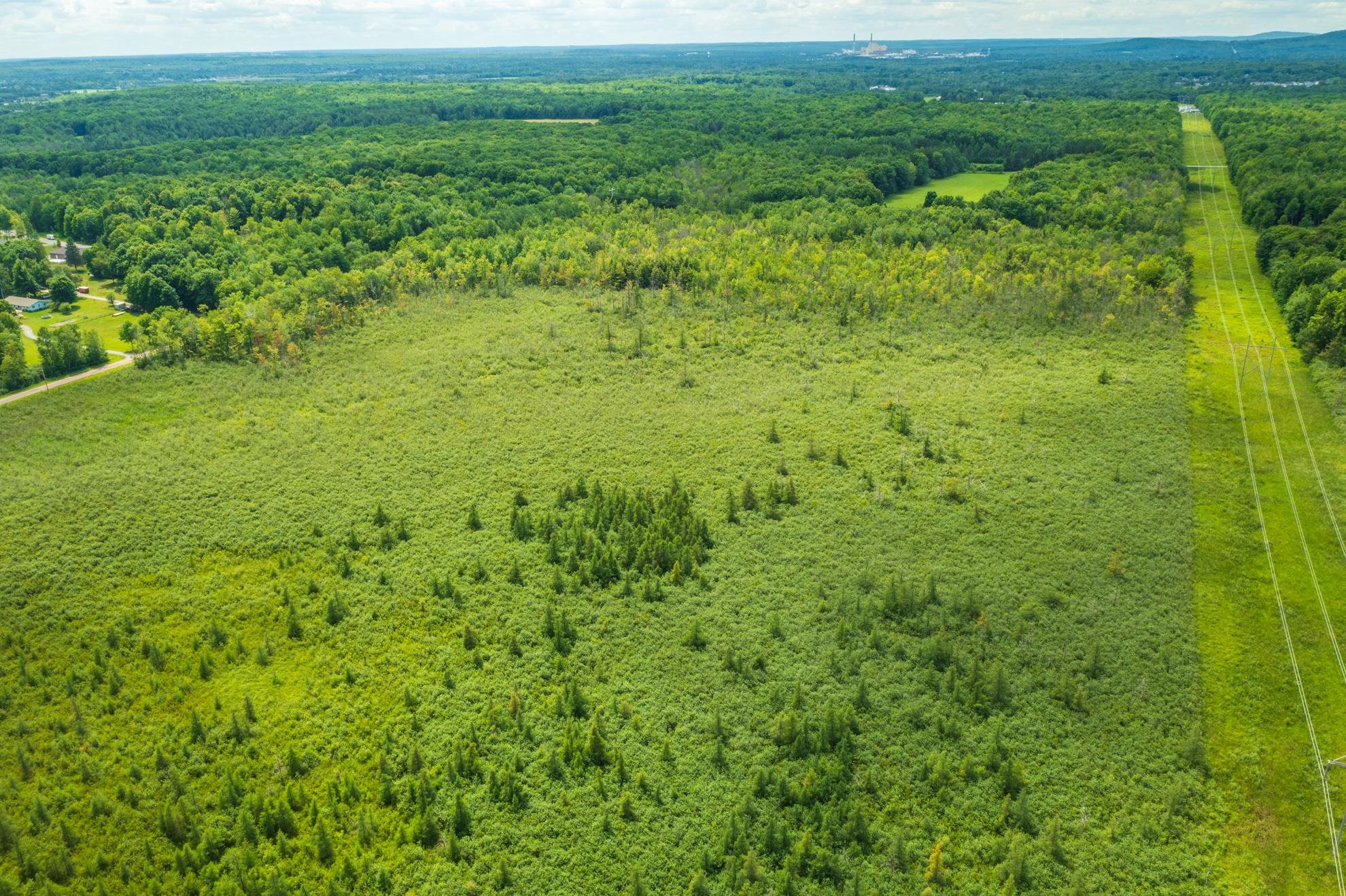 40 Acres Shorey Avenue Property Photo 8