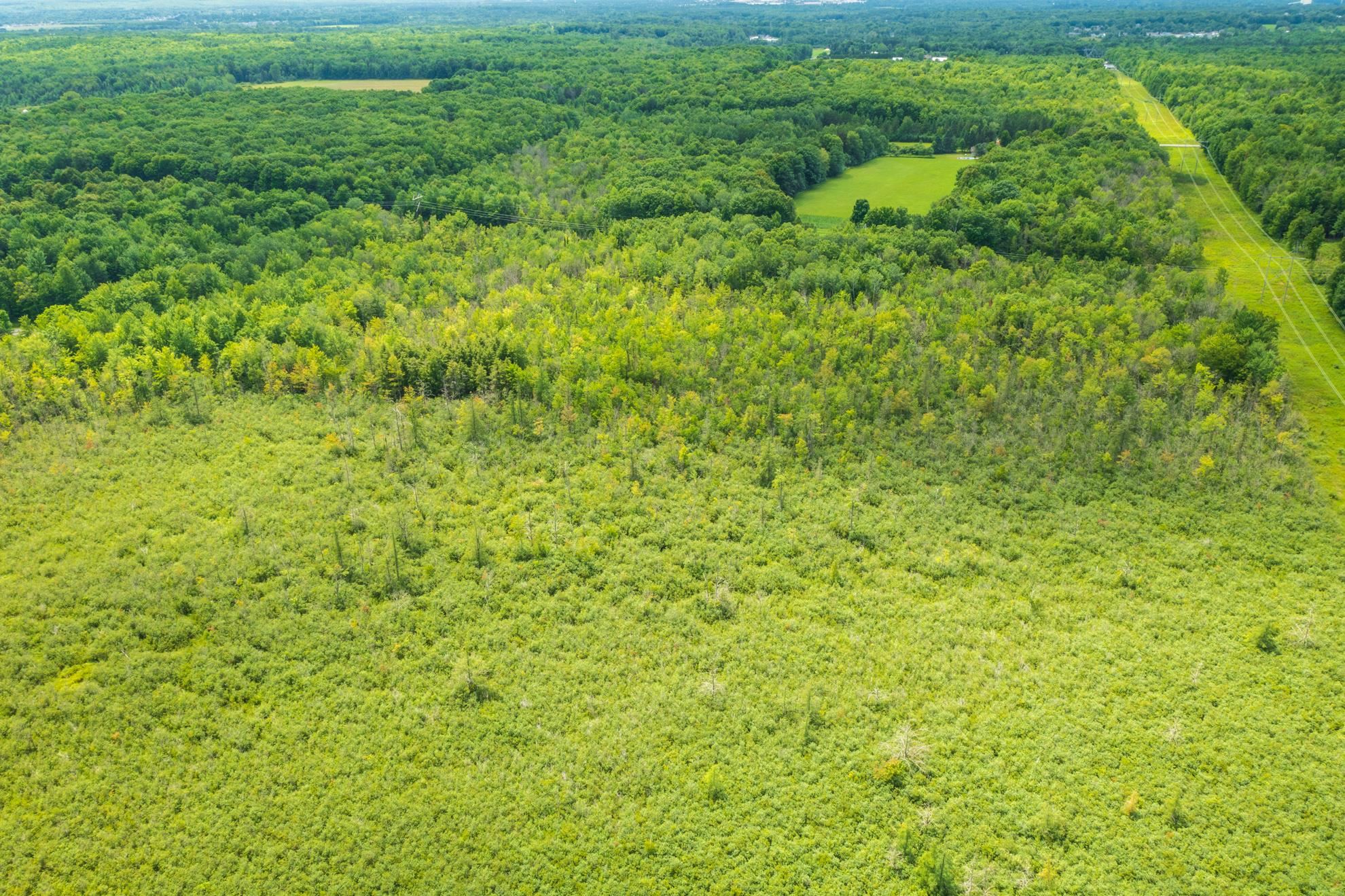 40 Acres Shorey Avenue Property Photo 10